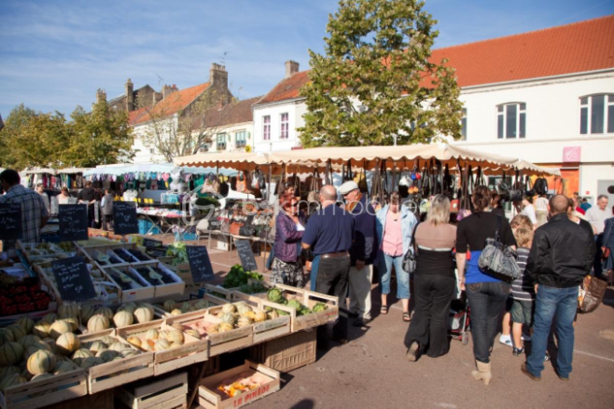 Terrain de 509 m² - terrain audruicq marché.jpg