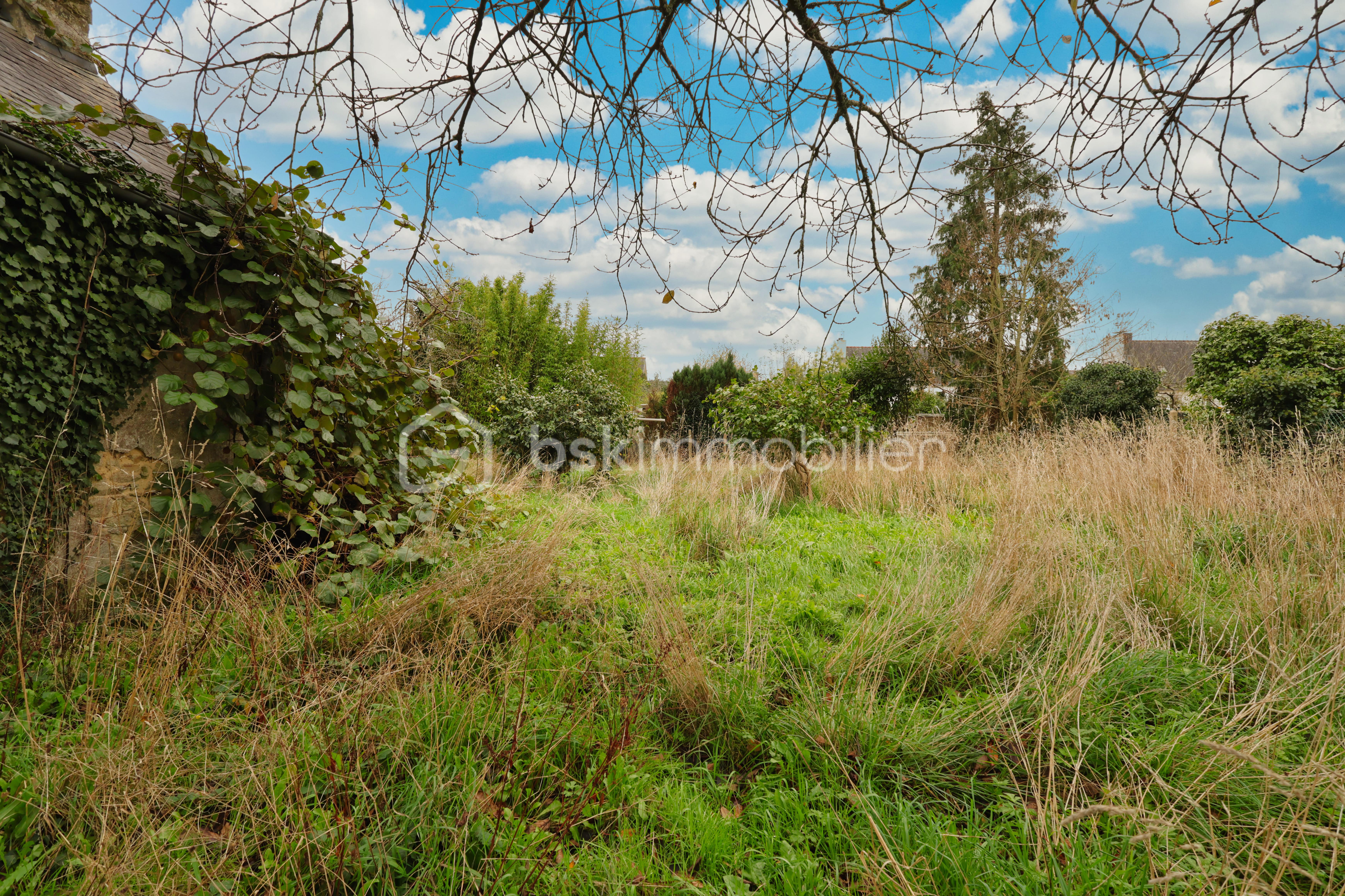 Immeuble mixte de 490 m² - 4R9A0431 (1).jpeg