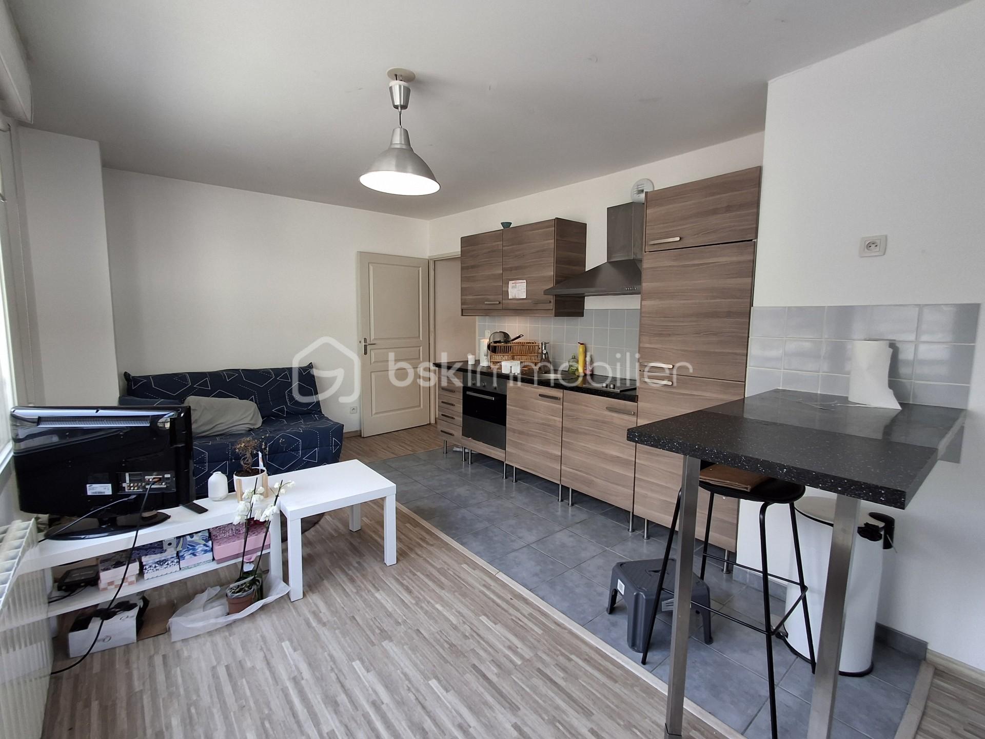 Appartement de 37 m² - pièce de vie paysage 2 CL.jpg