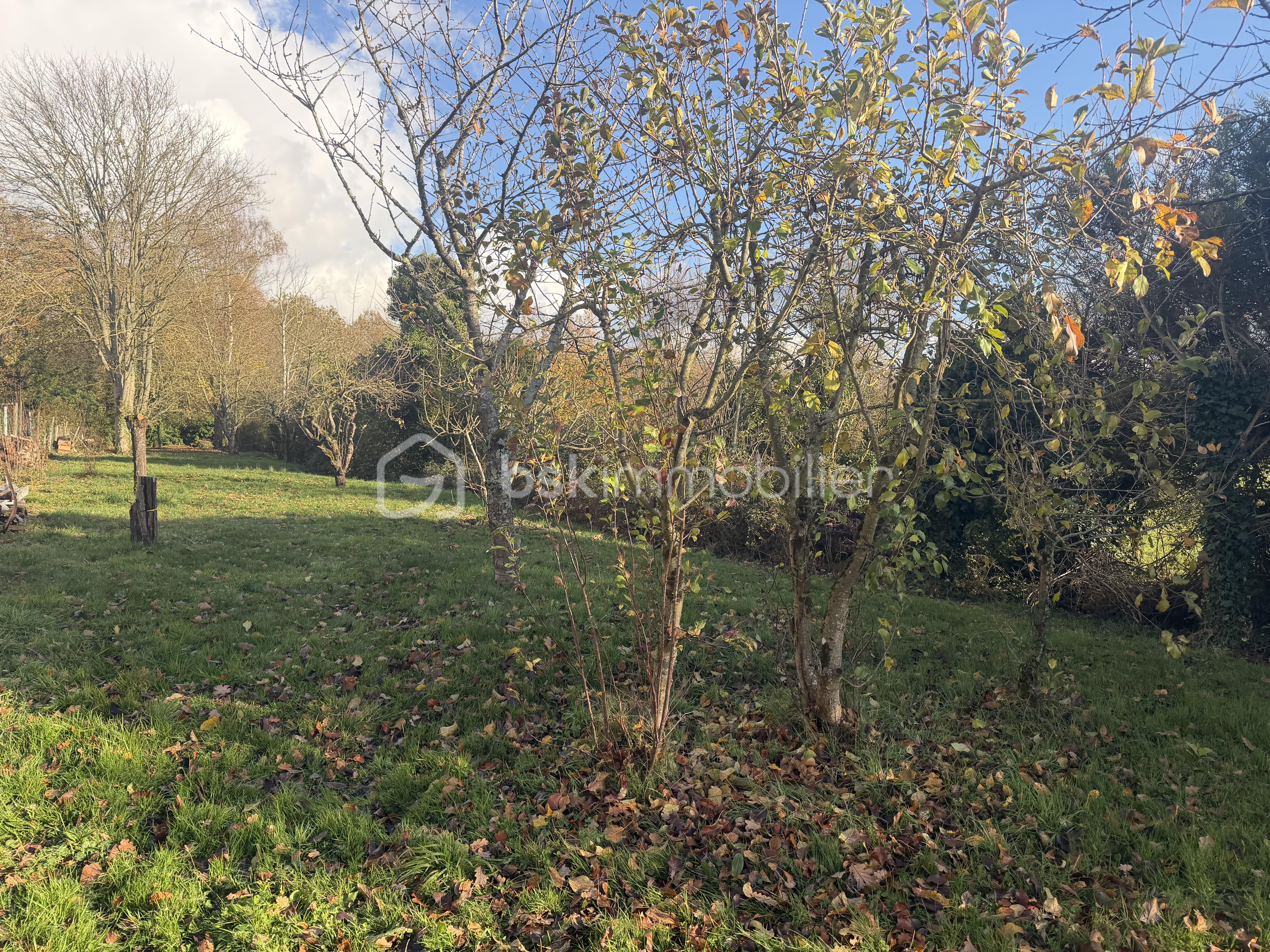 Maison de 83 m² - IMG_0301.jpeg