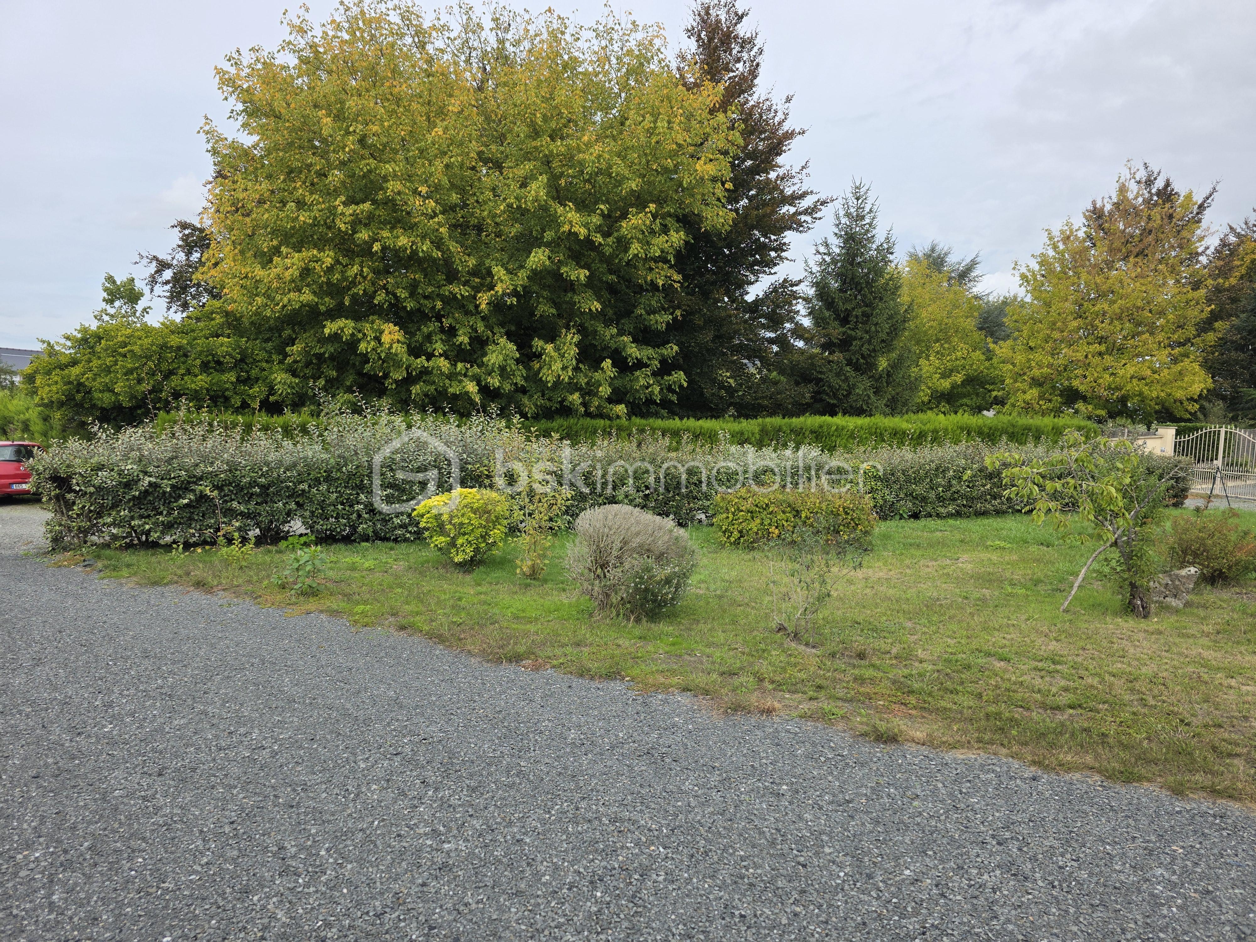 Terrain de 550 m² - 20250916_165010.jpg