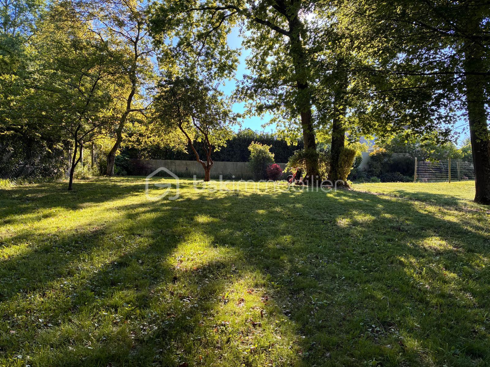 Terrain de 745 m² - IMG-20250501-WA0014(1).jpg