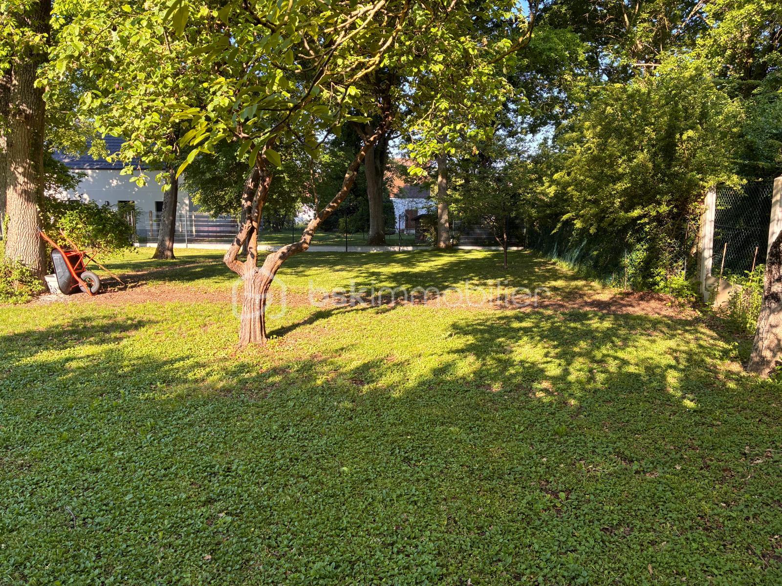 Terrain de 745 m² - IMG-20250501-WA0009(1).jpg