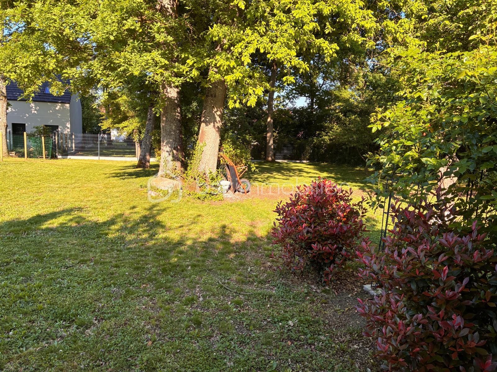 Terrain de 745 m² - IMG-20250501-WA0006(1).jpg