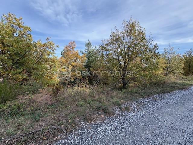 Terrain de 10 850 m² - TERRAIN RABOUILLAT2.jpg