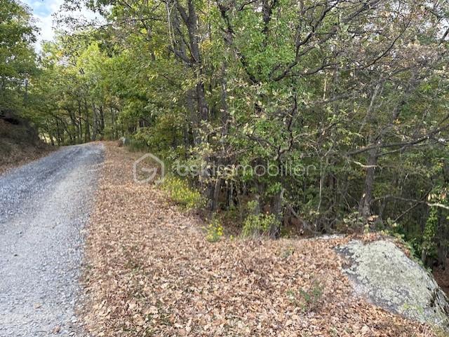 Terrain de 10 850 m² - PHOTO TERRAIN RABOUILLET 5.jpg
