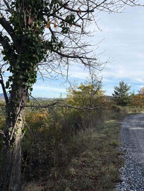 Terrain de 10 850 m² - TERRAIN RABOUILLET.jpg