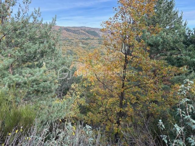 Terrain de 10 850 m² - TERRAIN RABOUILLET 6.jpg