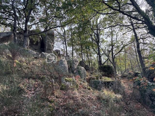 Terrain de 10 850 m² - PHOTO TERRAIN RABOUILLET 6.jpg