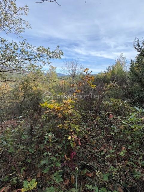 Terrain de 10 850 m² - TERRAIN RABOUILLET 4.jpg