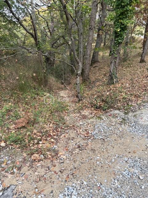 Terrain de 10 850 m² - PHOTO TERRAIN RABOUILLET 9.jpg