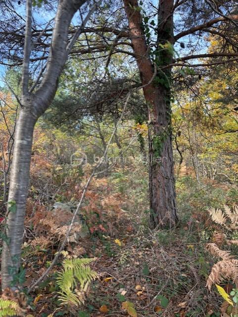 Terrain de 10 850 m²