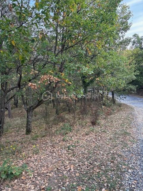Terrain de 10 850 m² - Photo terrain rabouilet 4.jpg