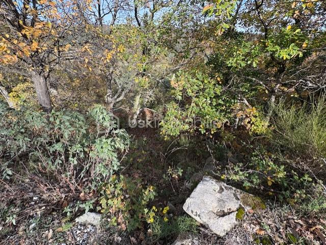 Terrain de 10 850 m² - TERRAIN RABOUILLET1.jpg