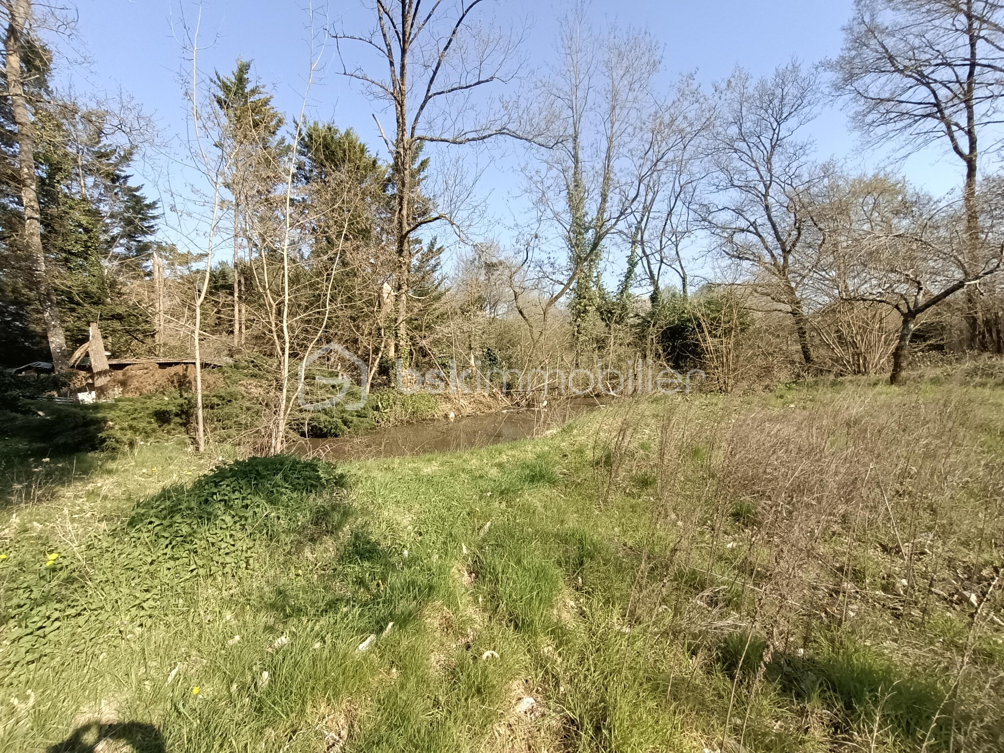 IMG_20260319_153900 (1).jpg