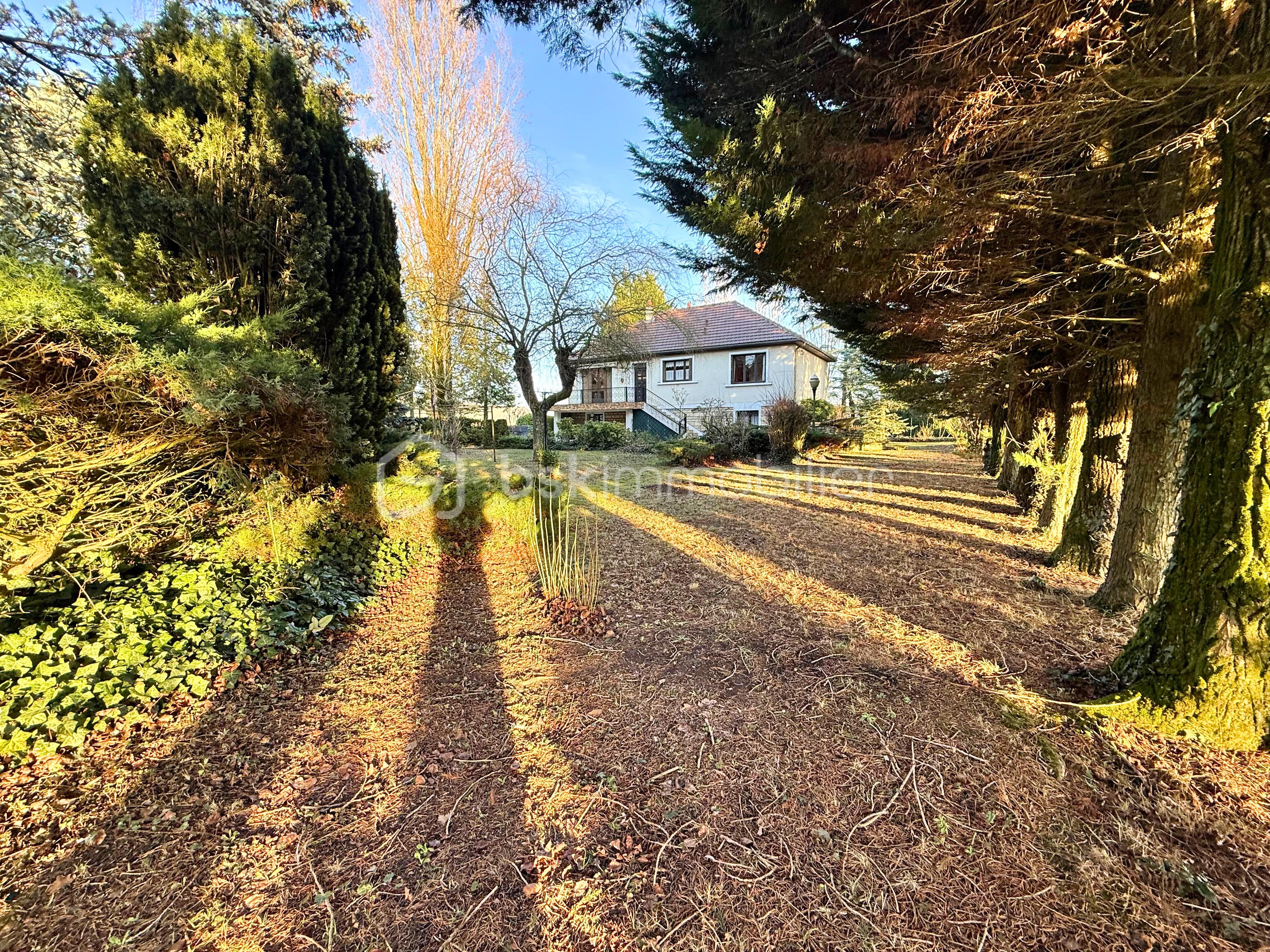 image00008 - Modifié.jpg