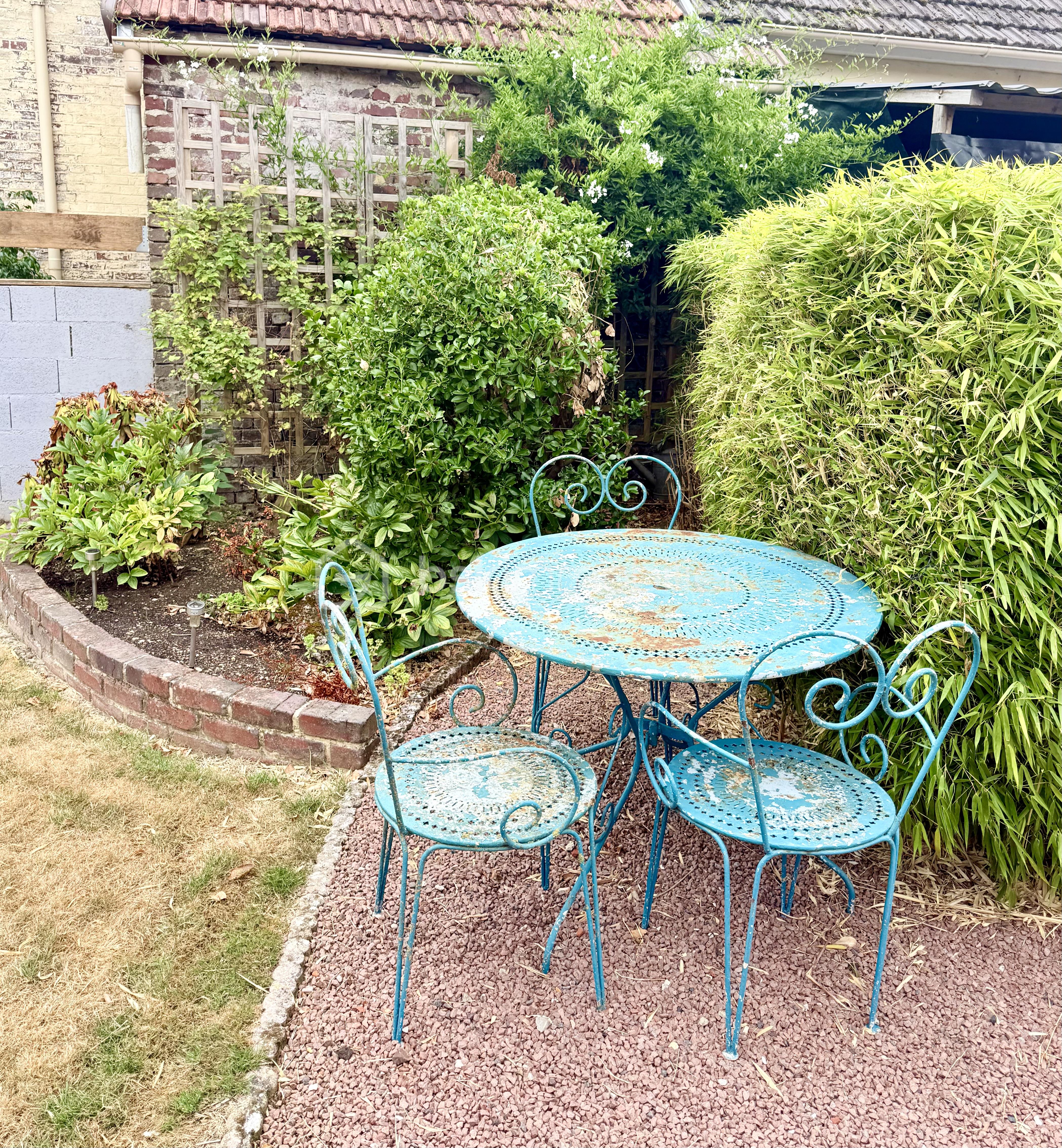Jardin bis.jpeg