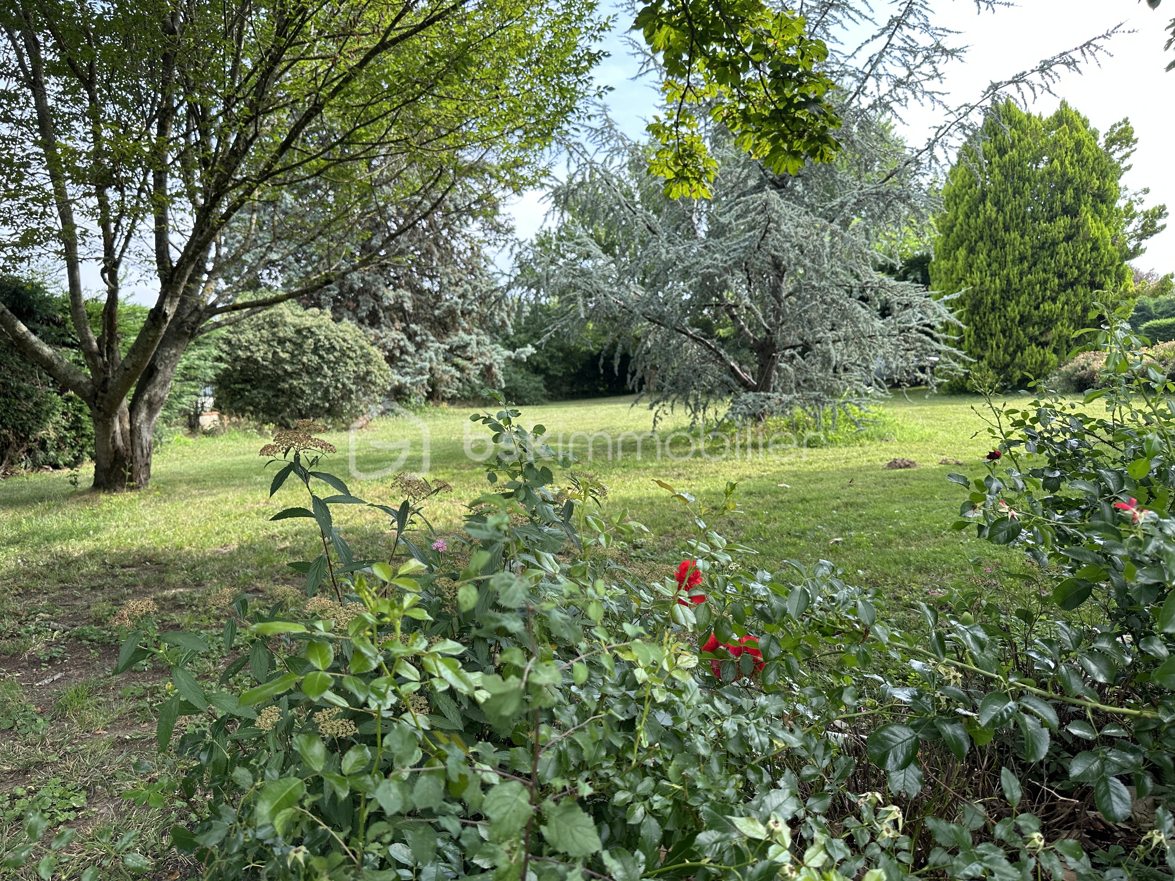 Terrain de 975 m² - IMG_1182.jpeg