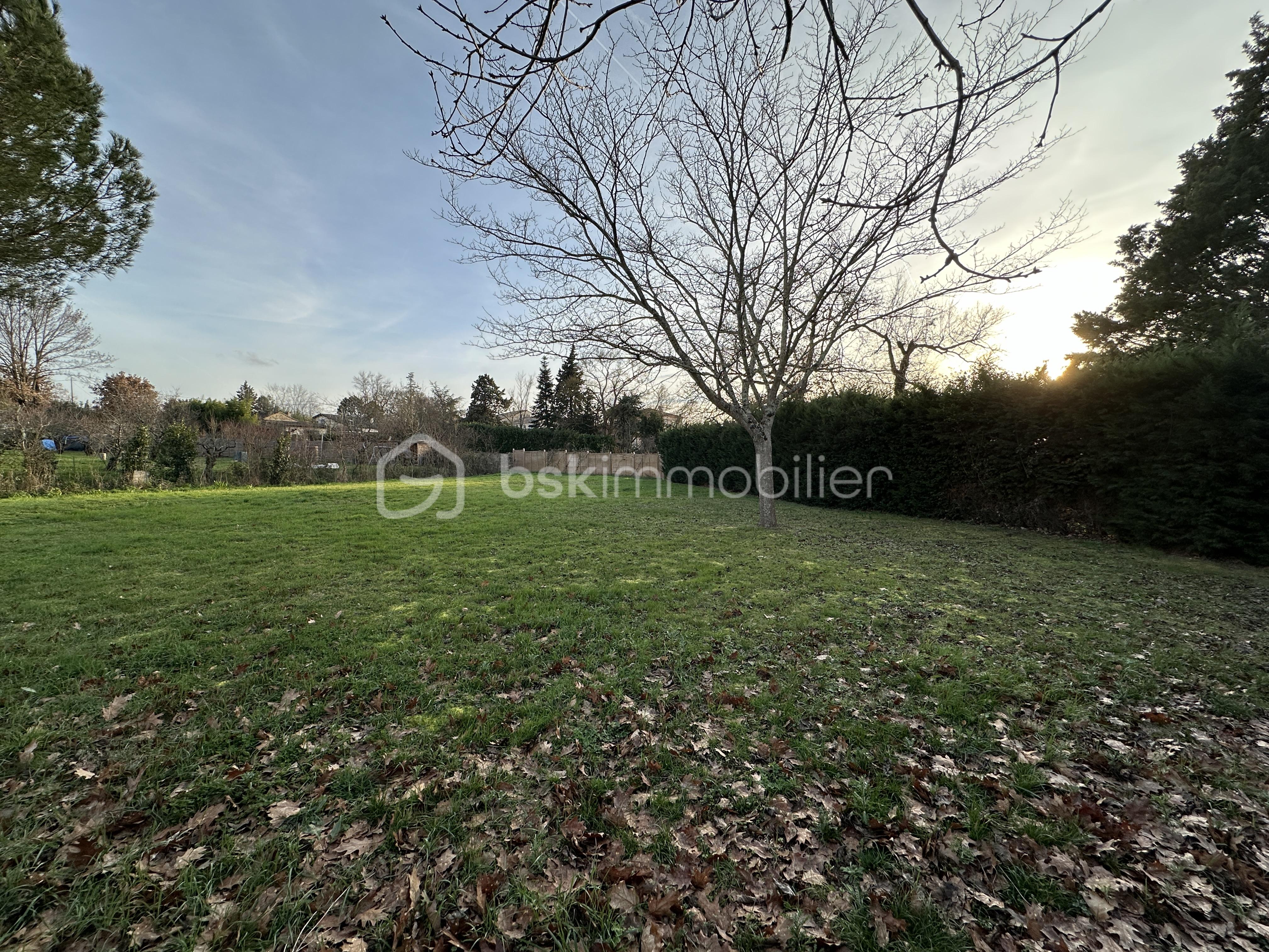 Terrain de 975 m² - IMG_2892.jpeg