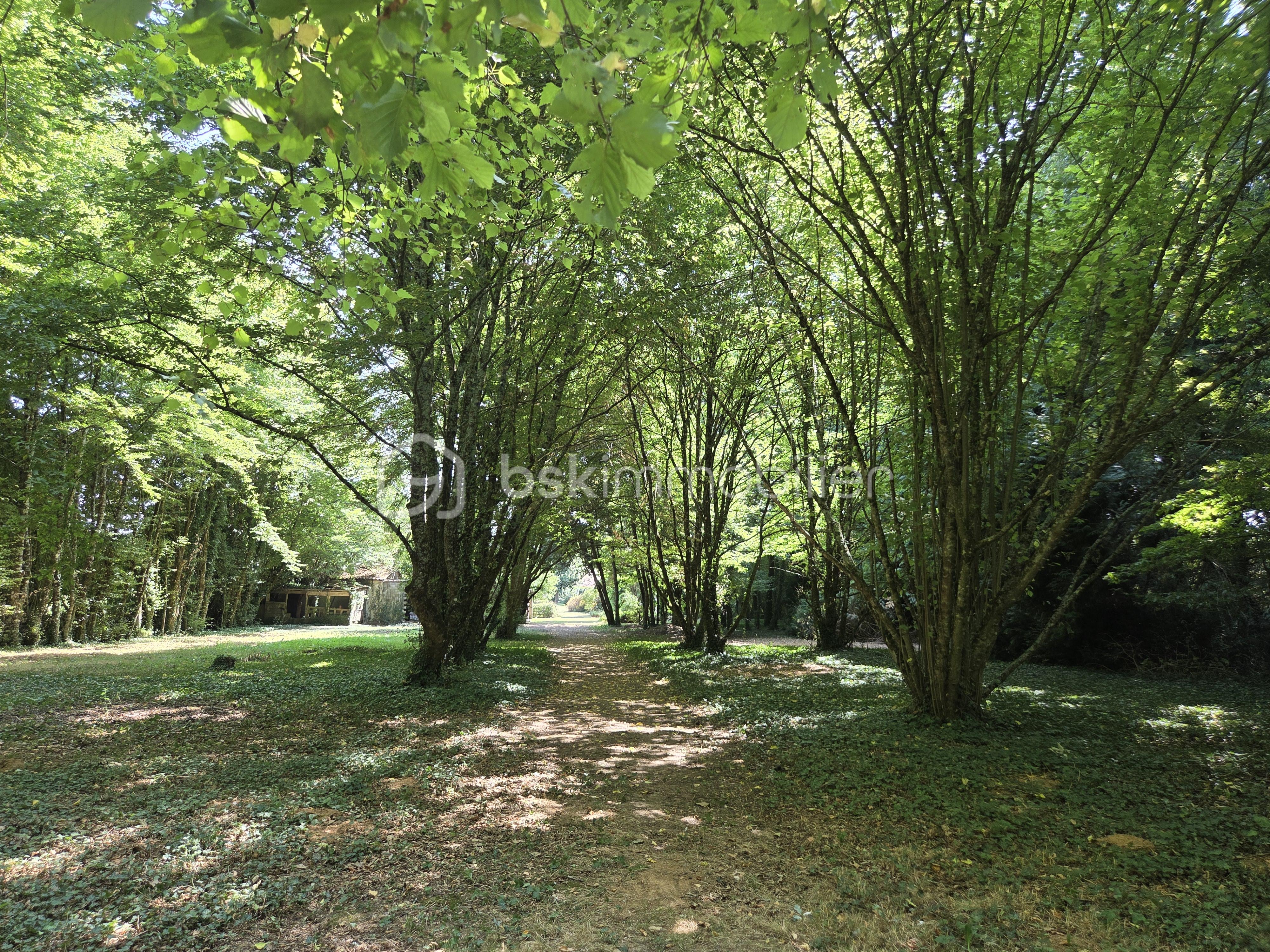 Maison ancienne de 220 m² - bois 4.jpg