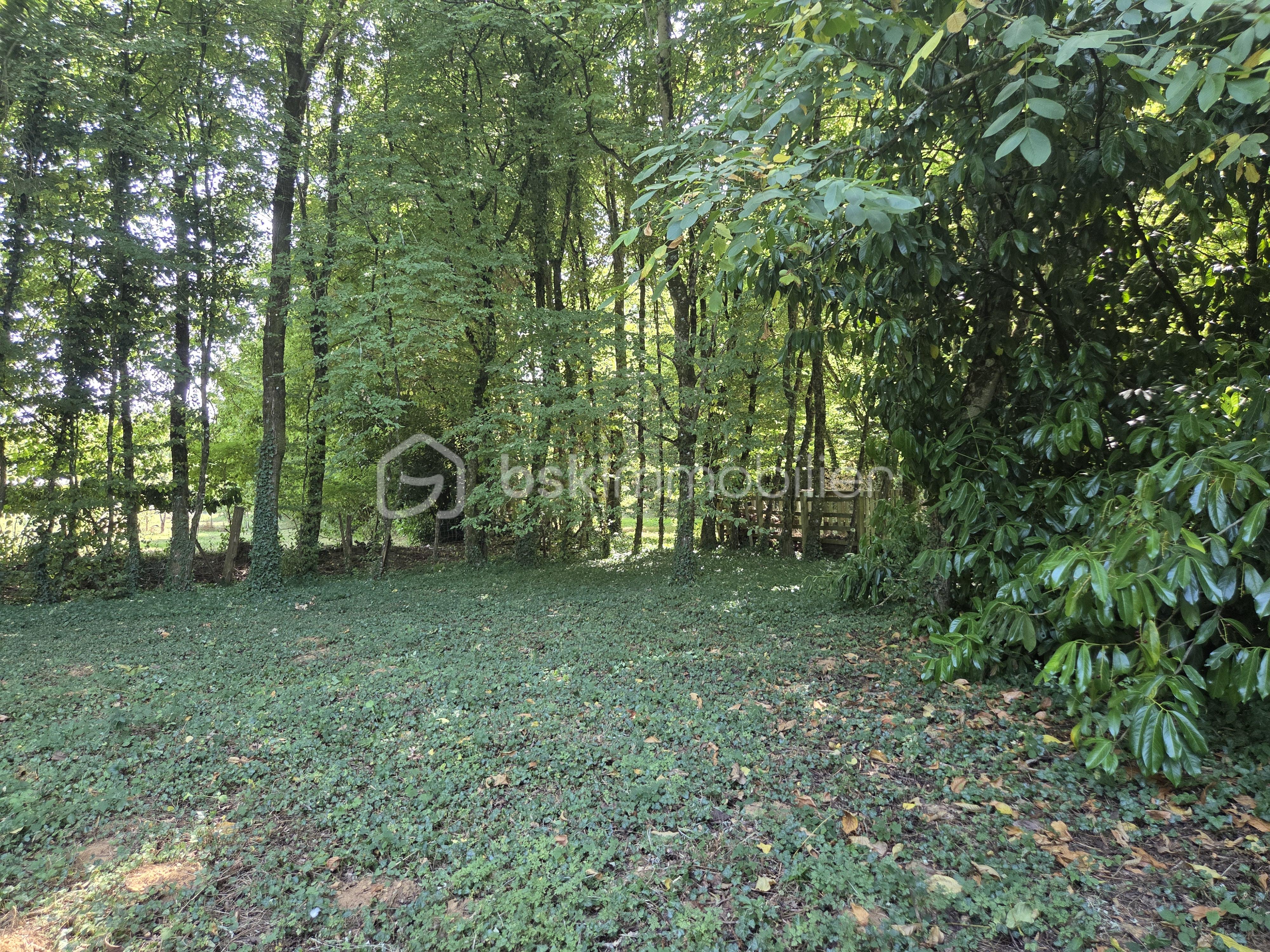 Maison ancienne de 220 m² - bois 2.jpg