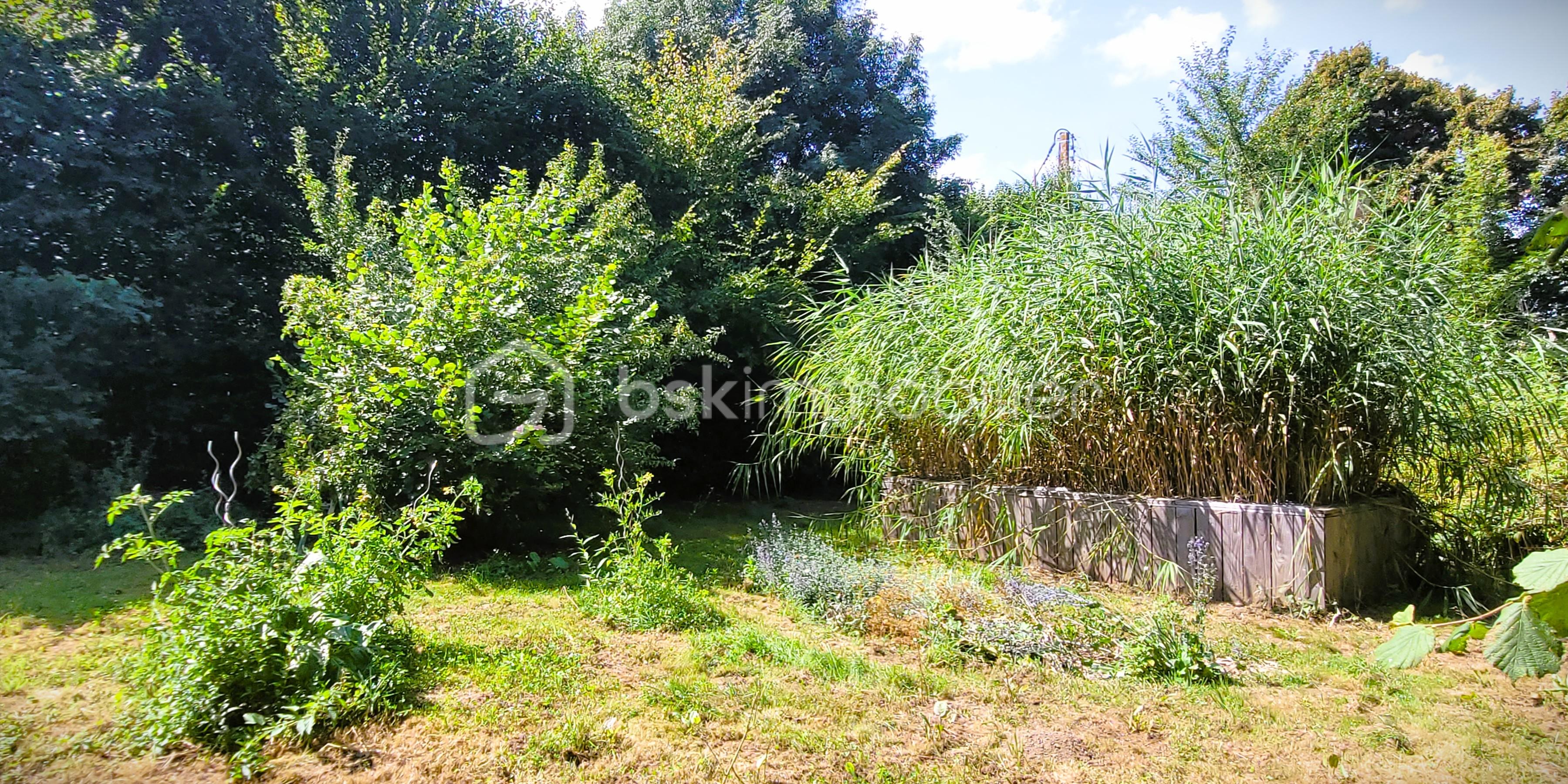 Maison longere de 69 m² - 20250808_154617b.jpg
