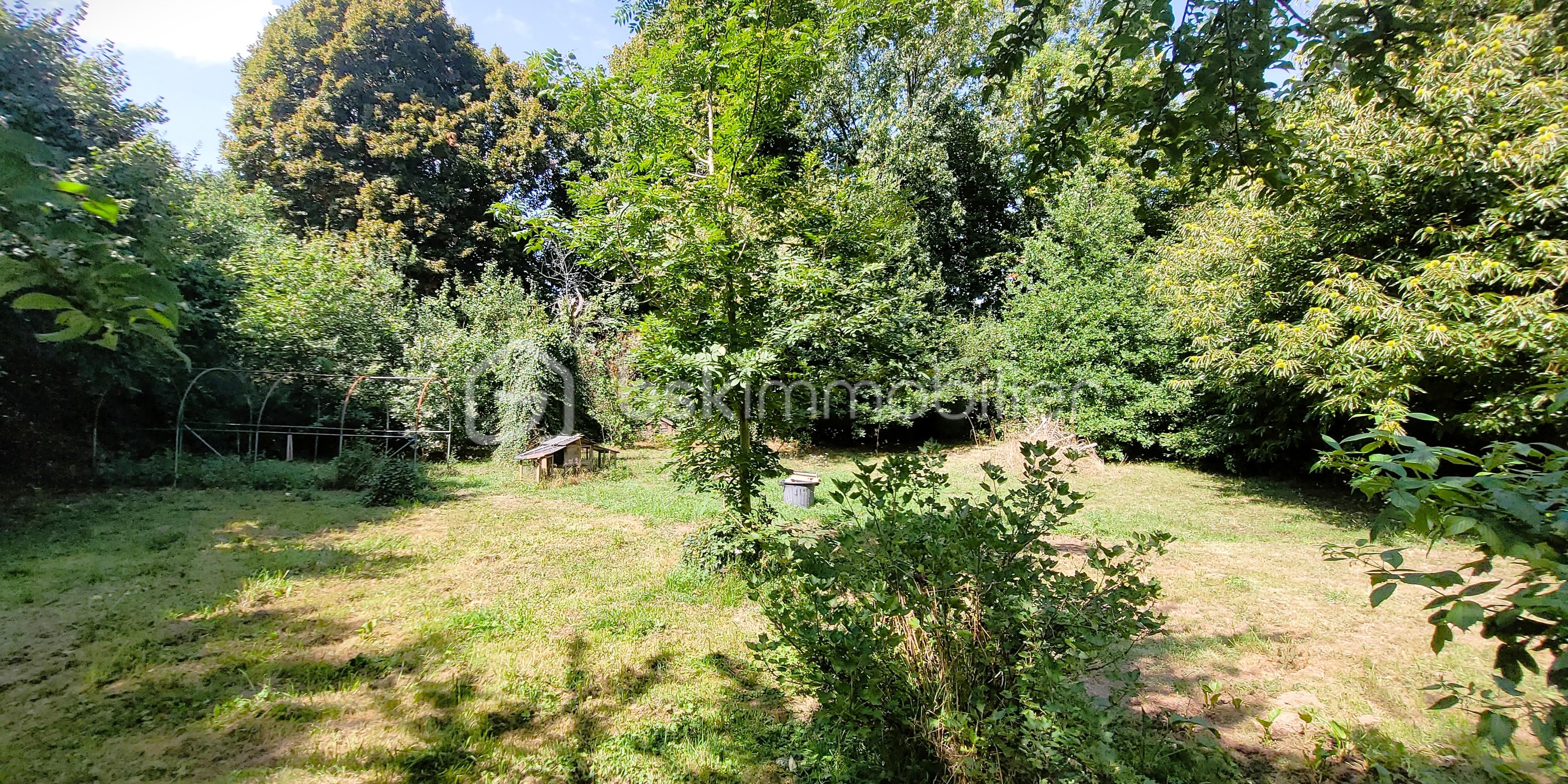 Maison longere de 69 m² - 20250808_154805b.jpg
