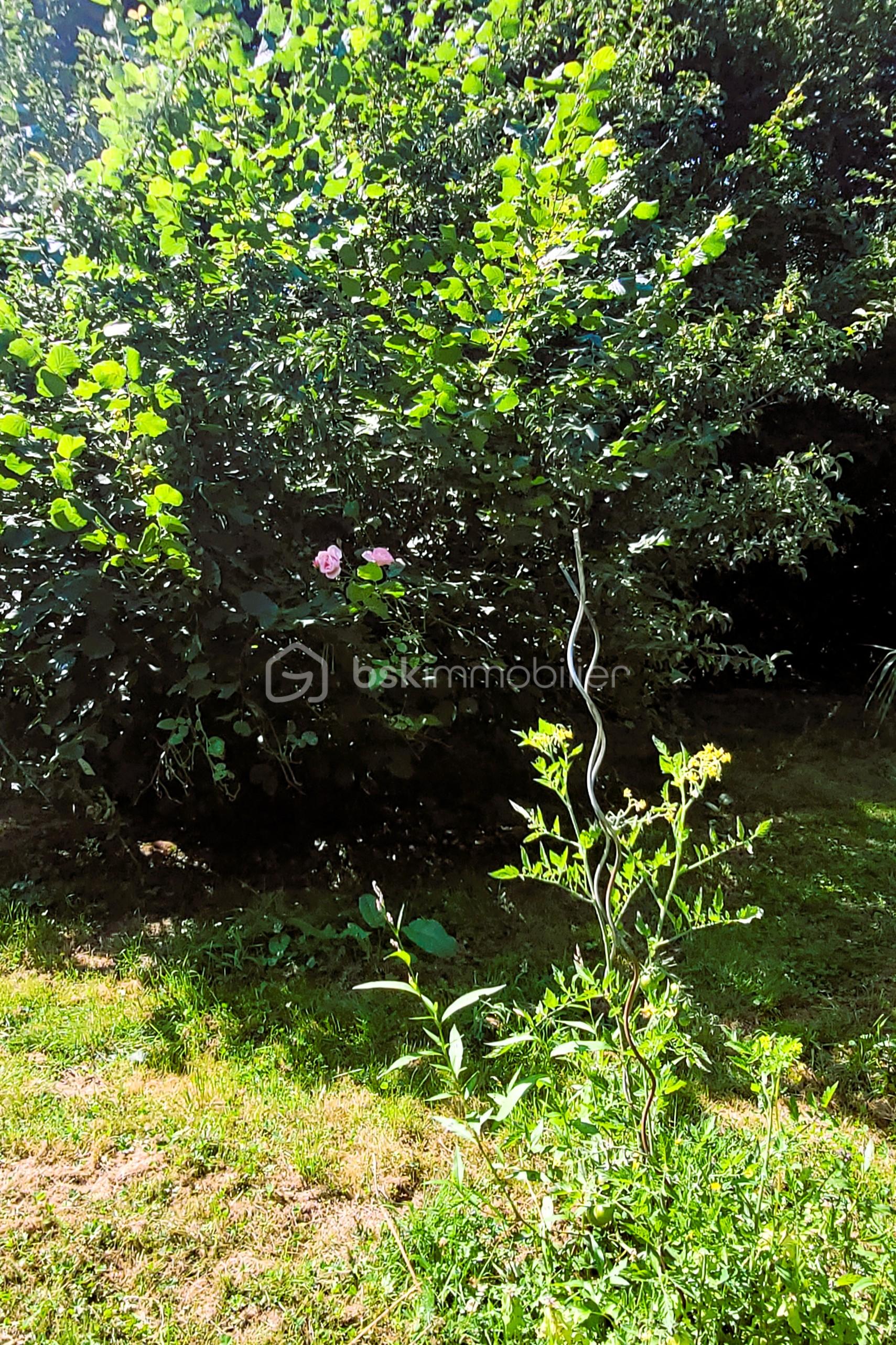 Maison longere de 69 m² - 20250808_154639b.jpg