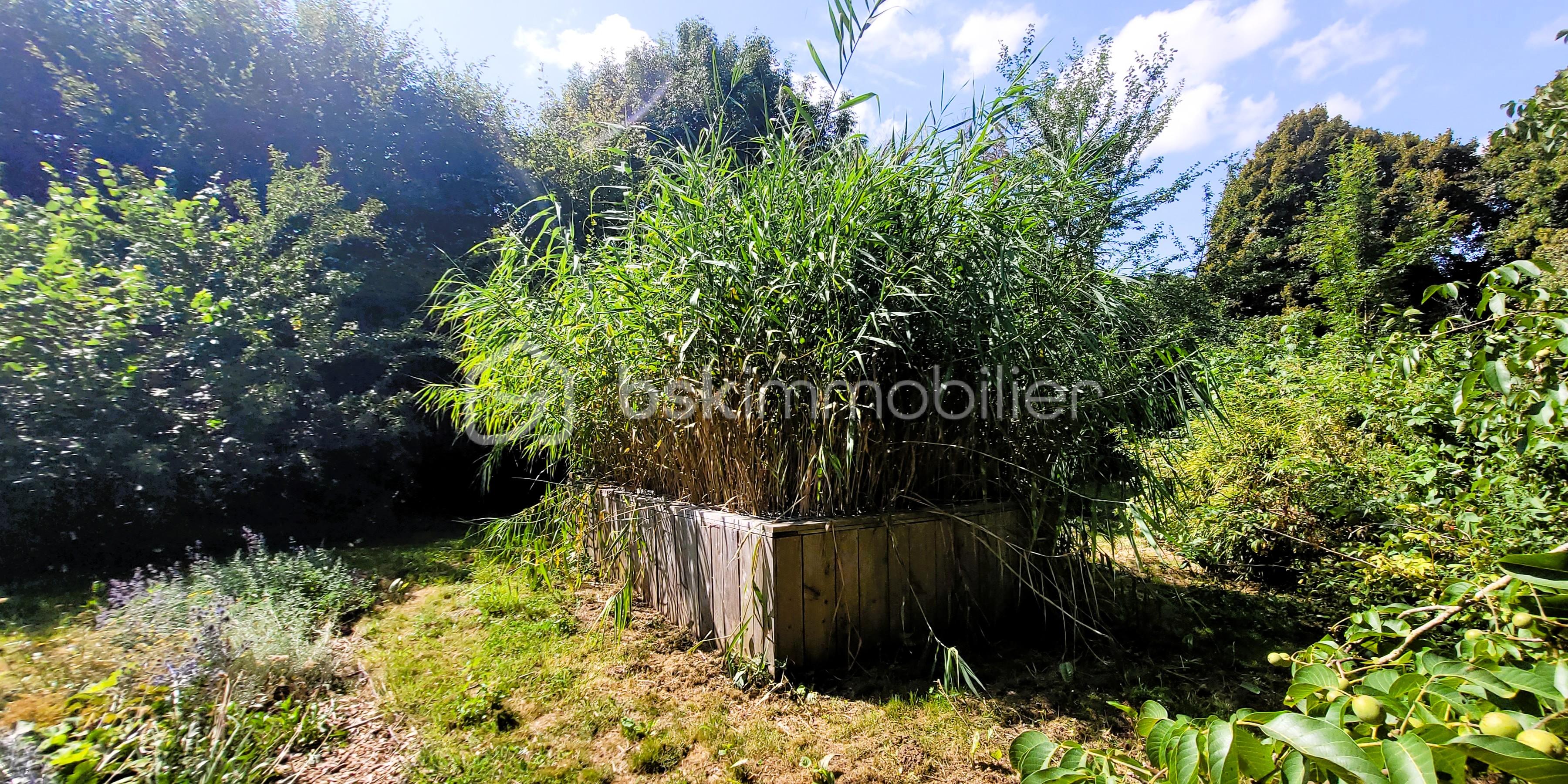 Maison longere de 69 m² - 20250808_154732b.jpg