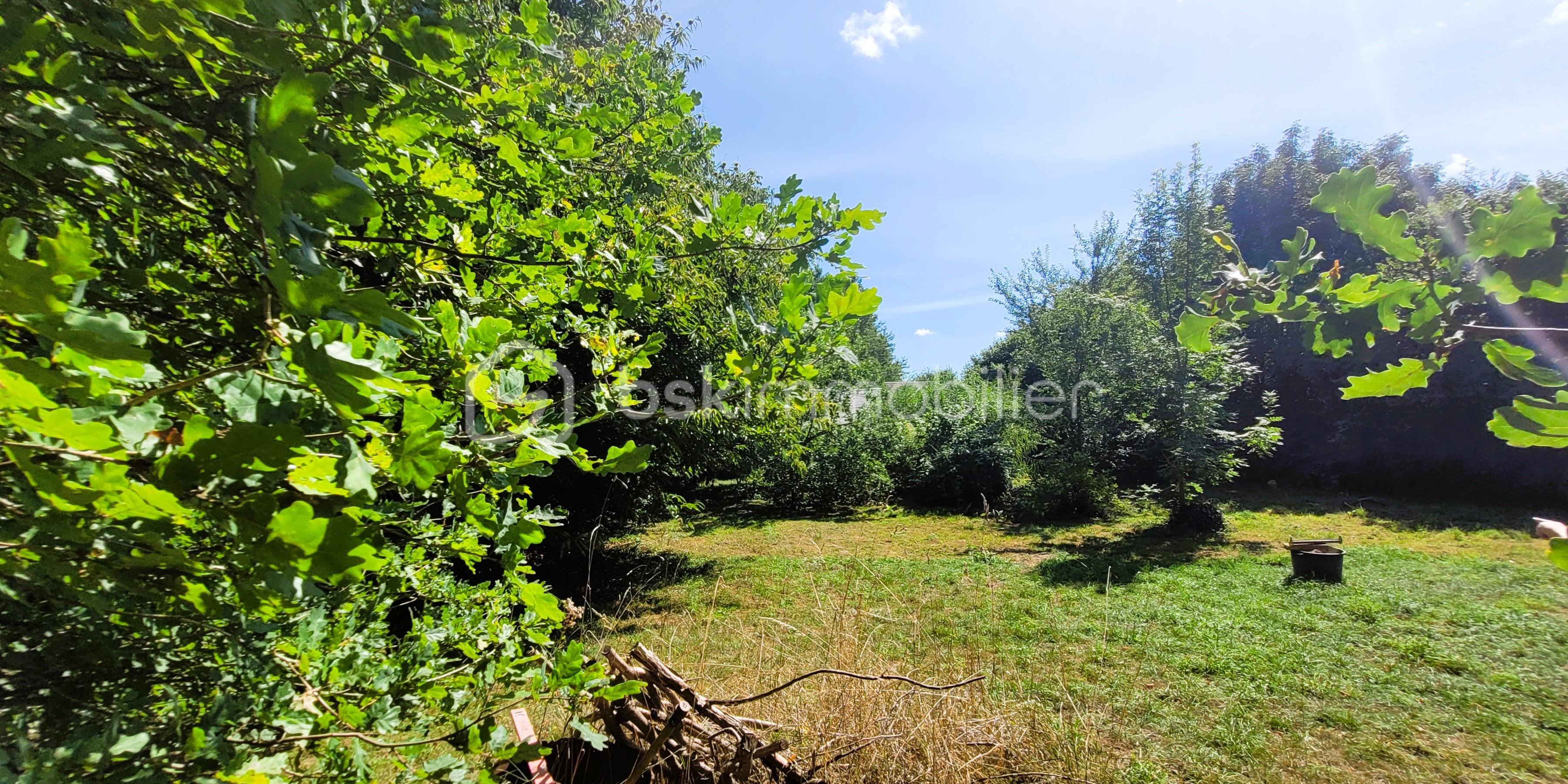 Maison longere de 69 m² - 20250808_155026b.jpg