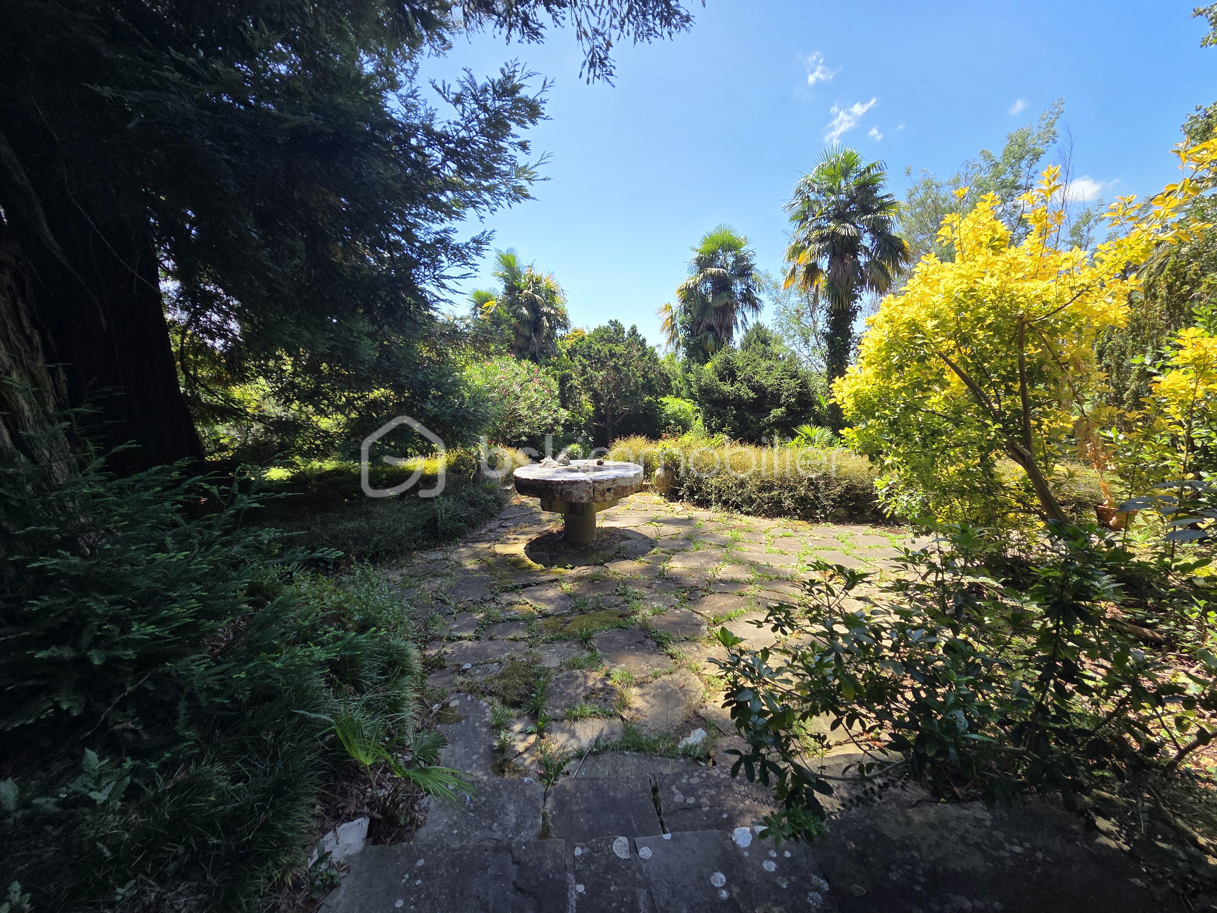 Maison de 500 m² - 20250722_142741.jpg