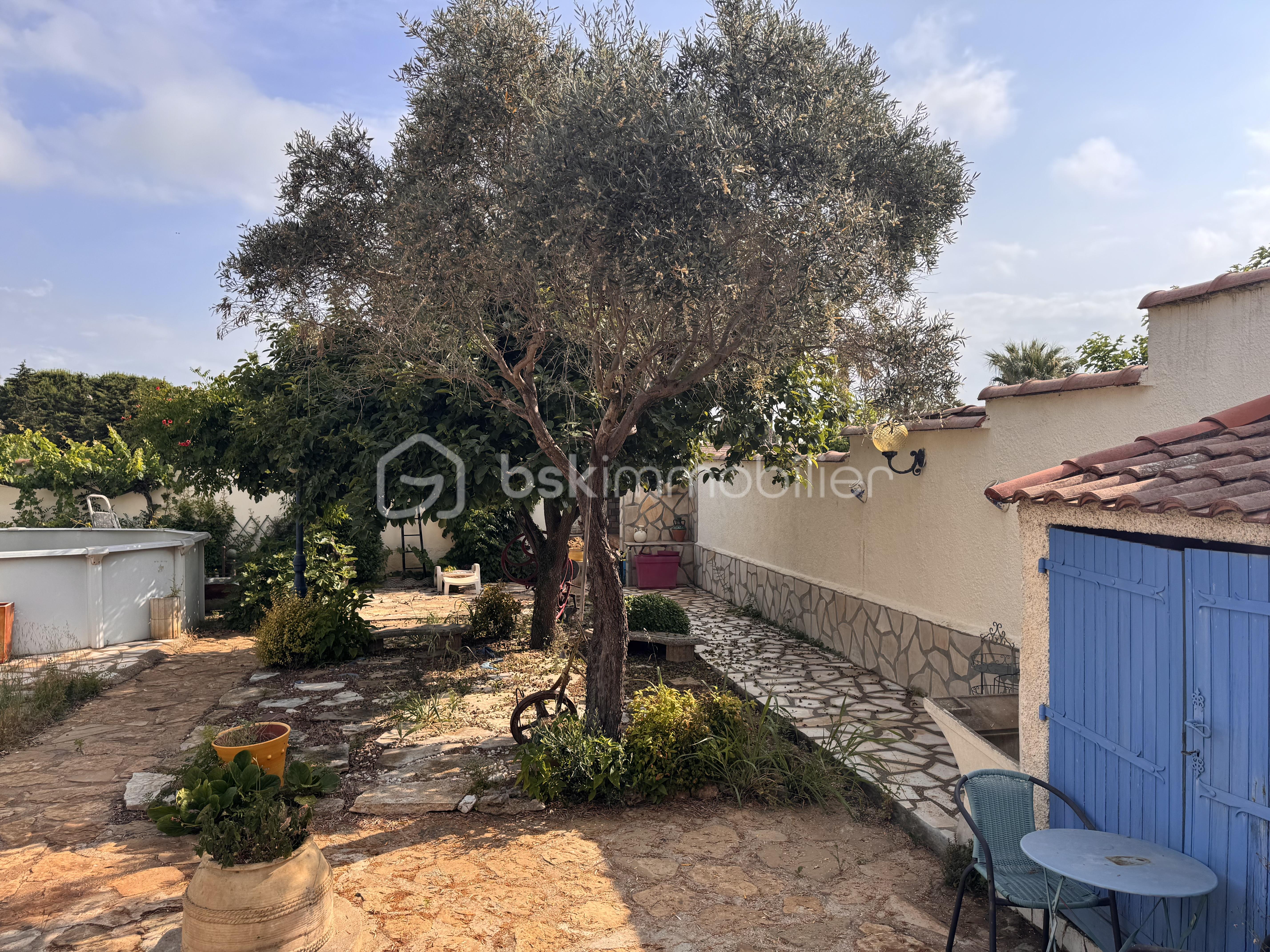 IMG_2304.jpeg