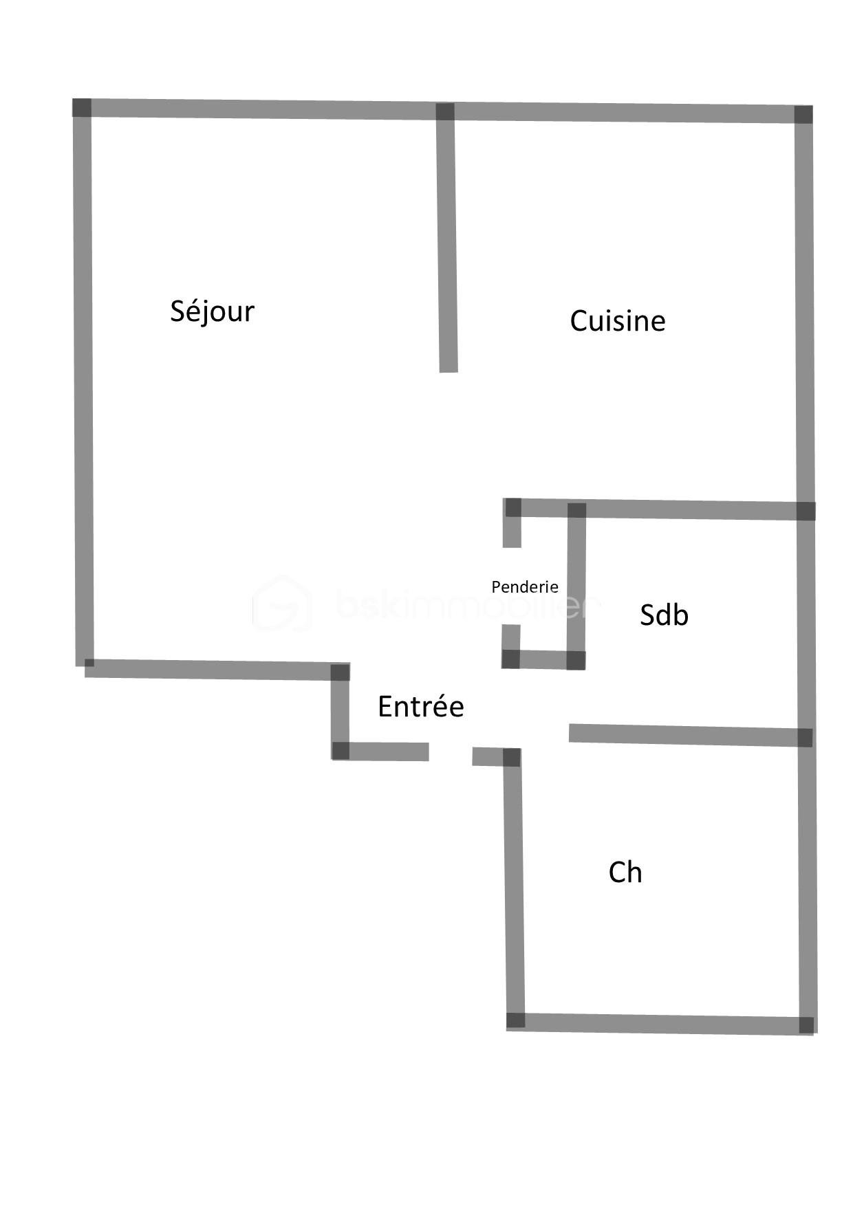 Appartement de 46,30 m² - Plan 2D.JPG