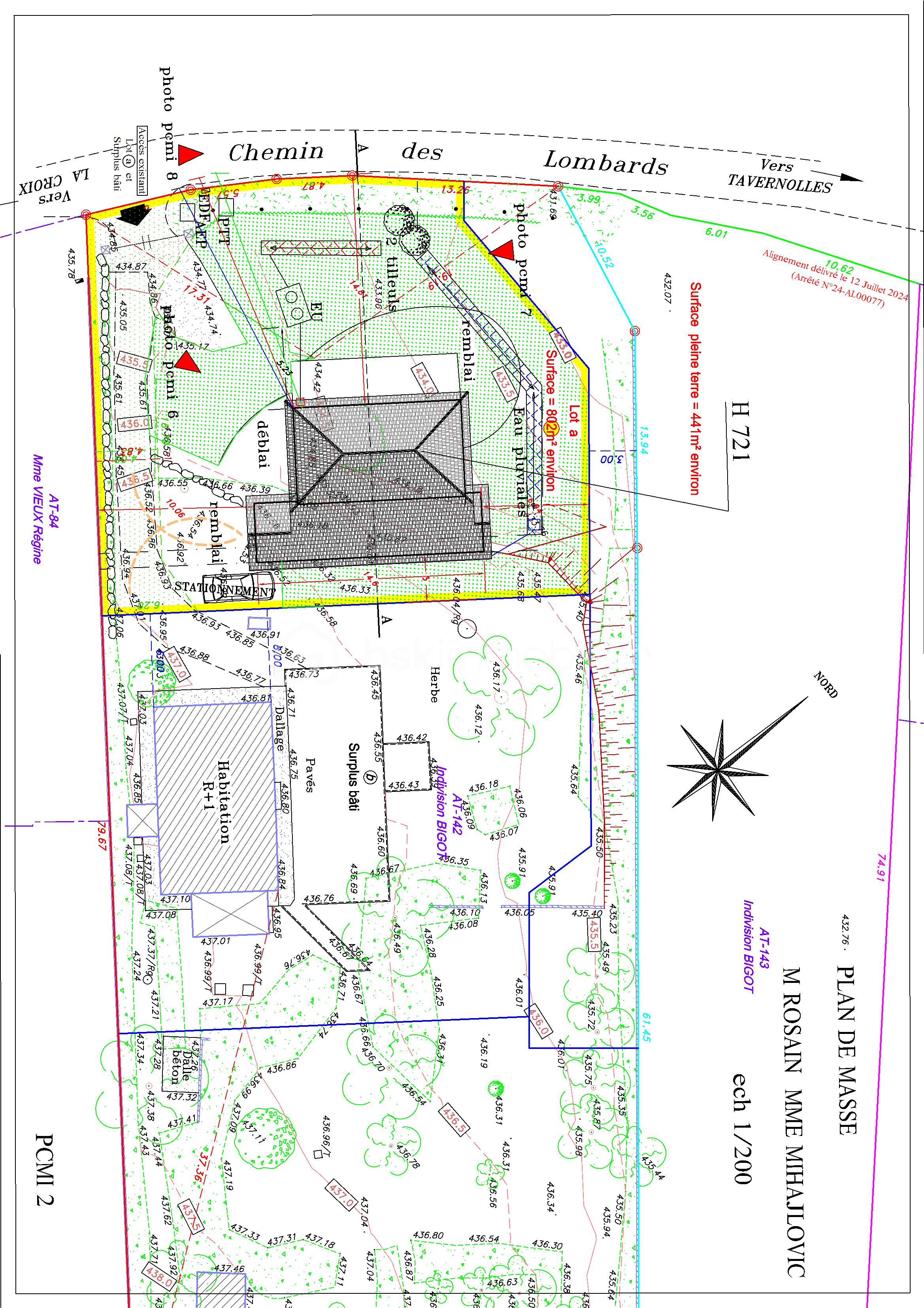 PLAN MASSE conv 1.png