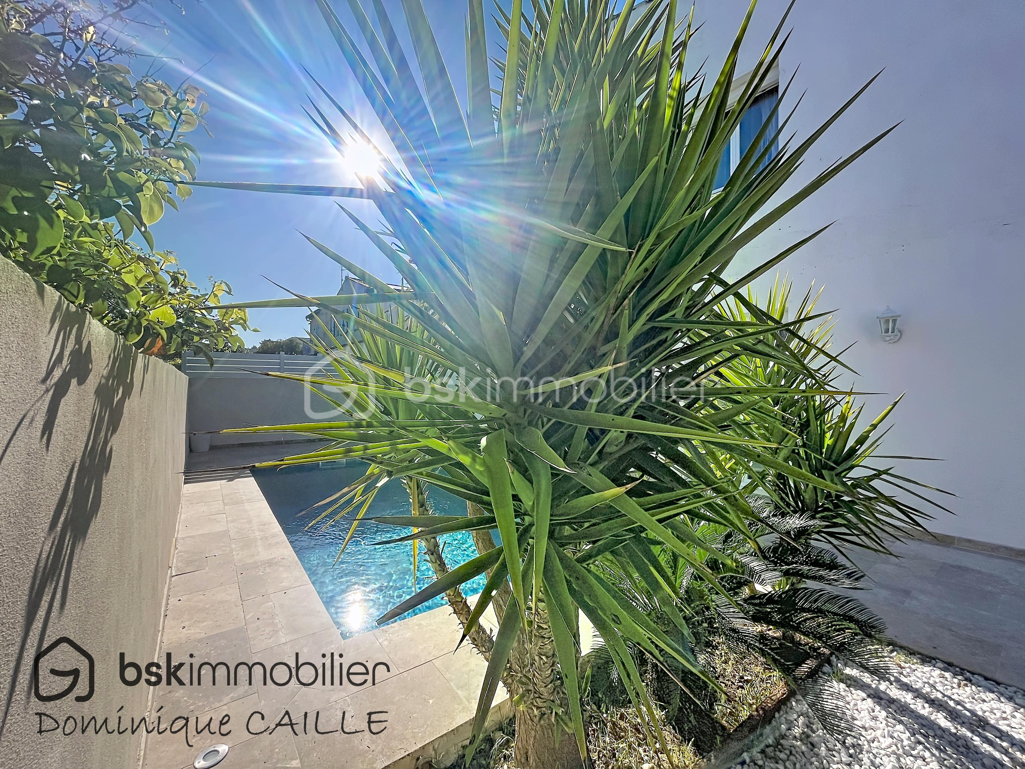 piscine arbre.jpg