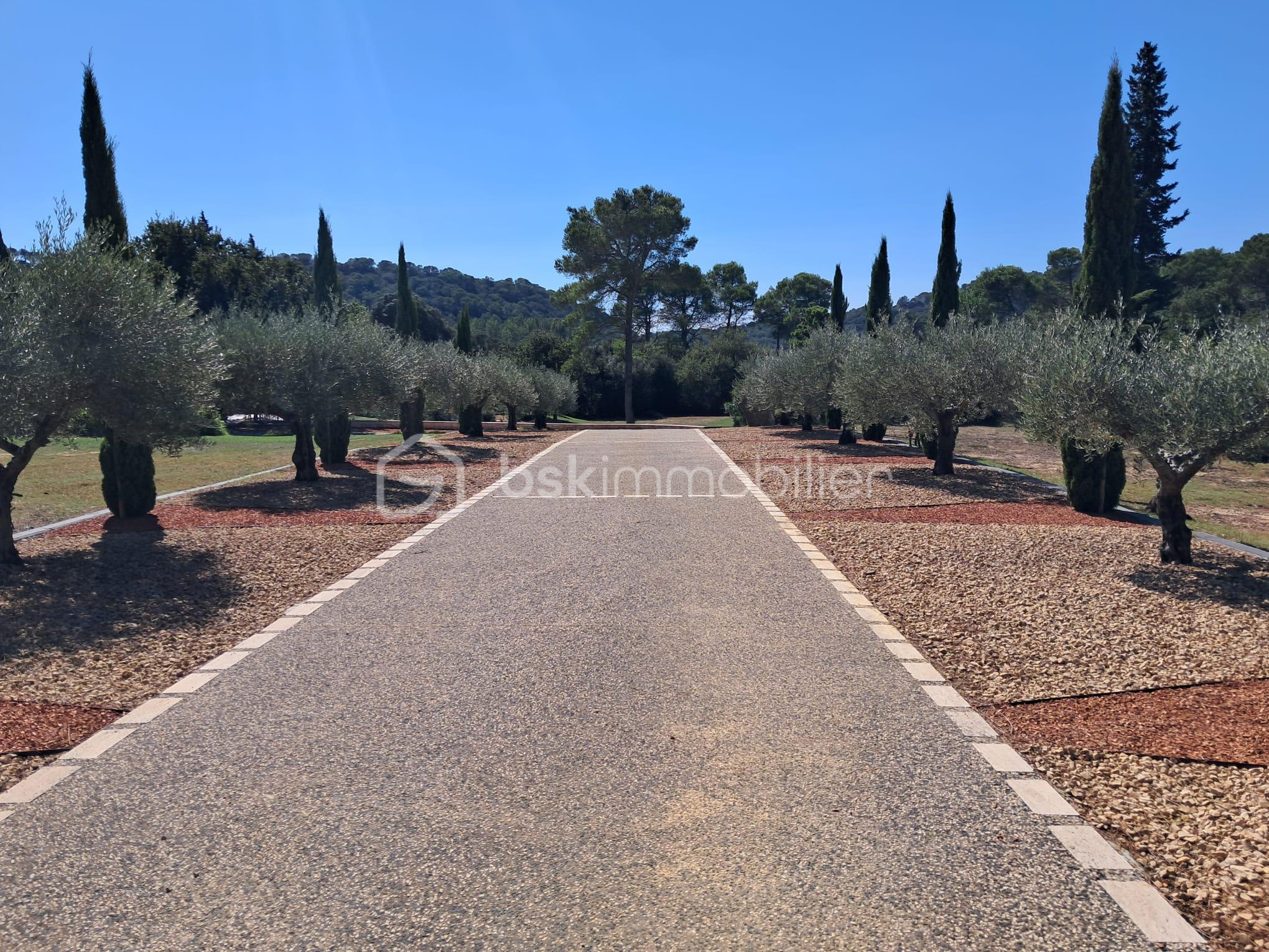 PHOTO-2025-01-08-11-36-01 7.jpg