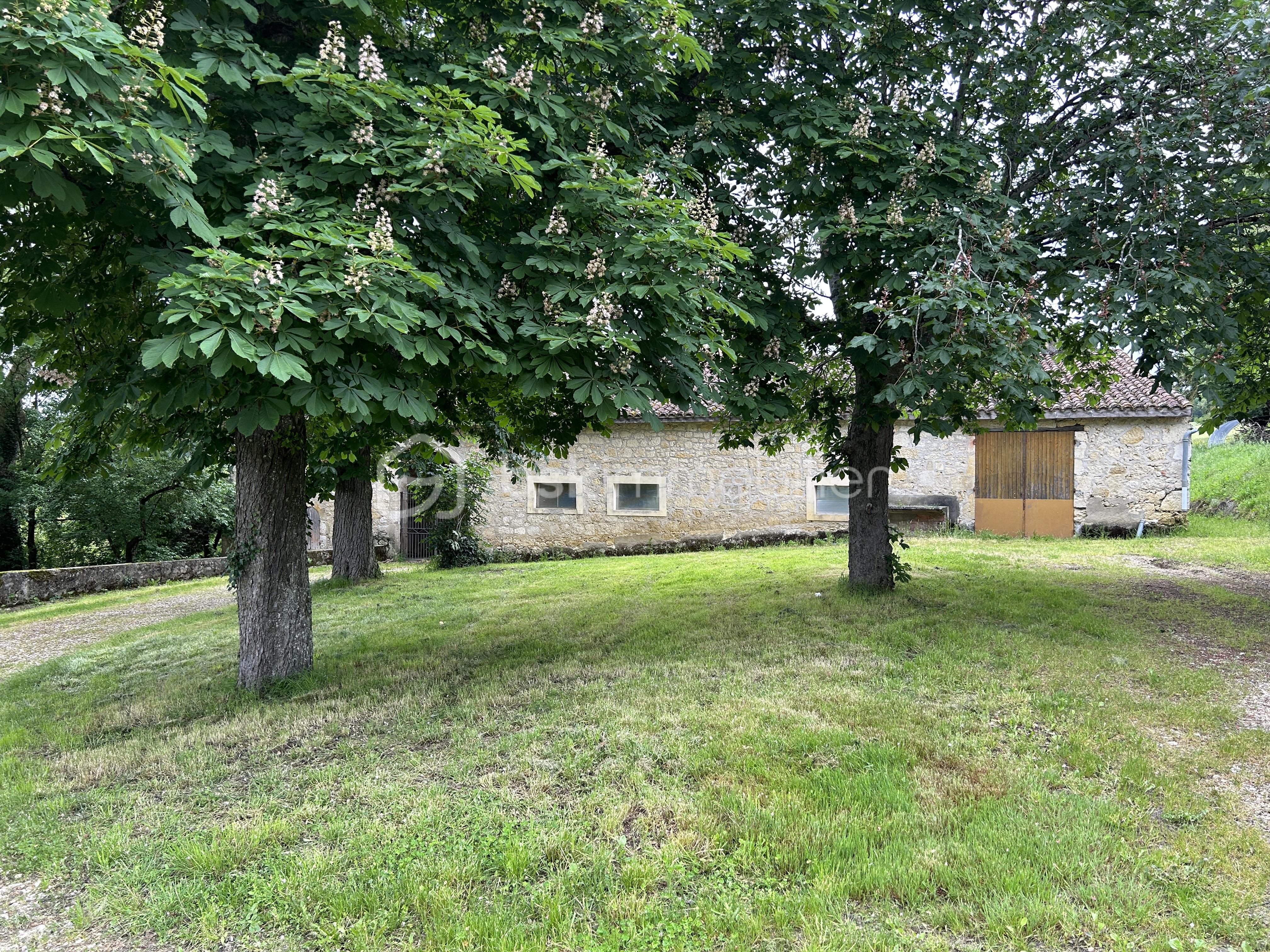 Maison de 400 m² - 5FB8C4D5-EAFC-44B9-A194-B832A918FA5D.jpeg