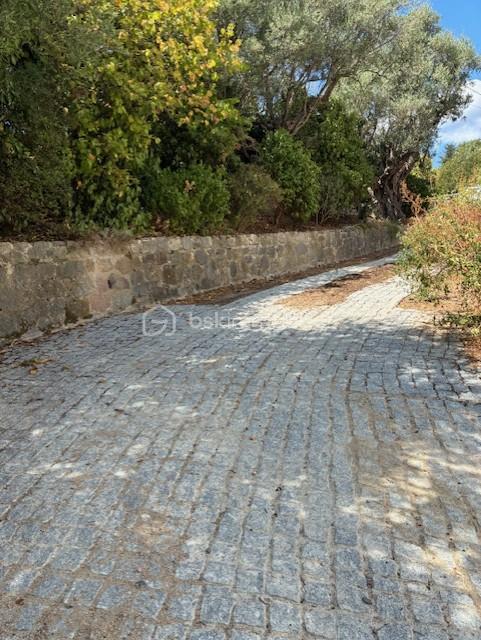 Maison d architecte de 101 m² - descente.jpg