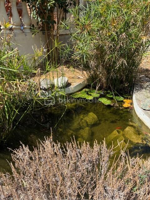 Maison d architecte de 101 m² - bassin.jpg