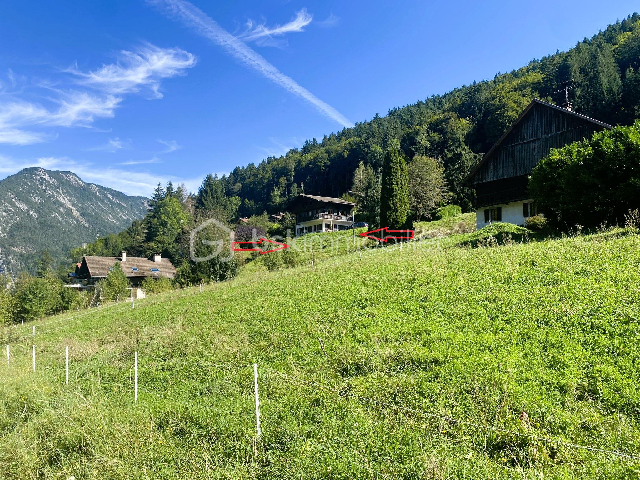 Terrain de 663 m² - DESSIN.JPEG
