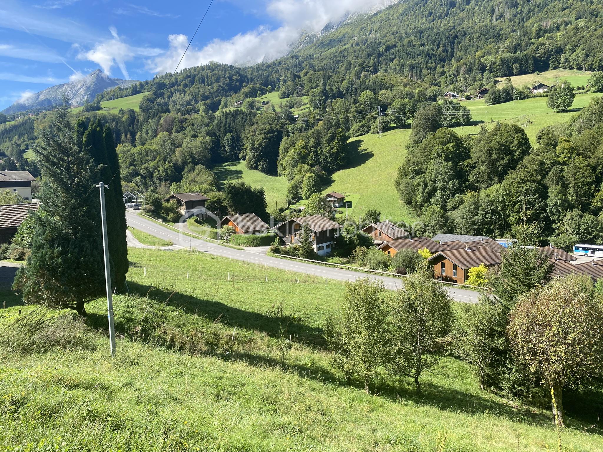 Terrain de 663 m² - IMG_3487.JPEG