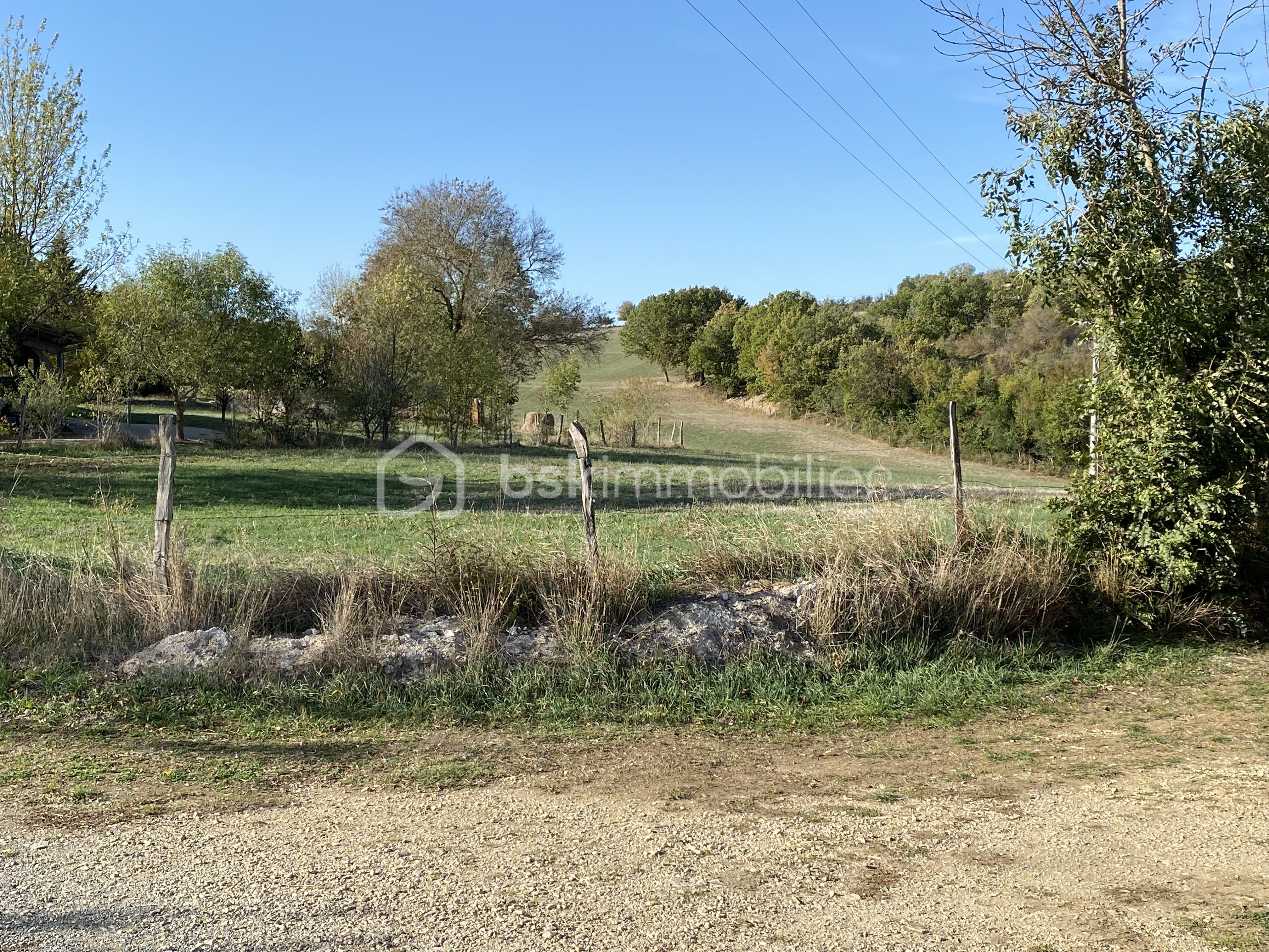 Terrain de 1 178 m² - IMG_4614.jpeg