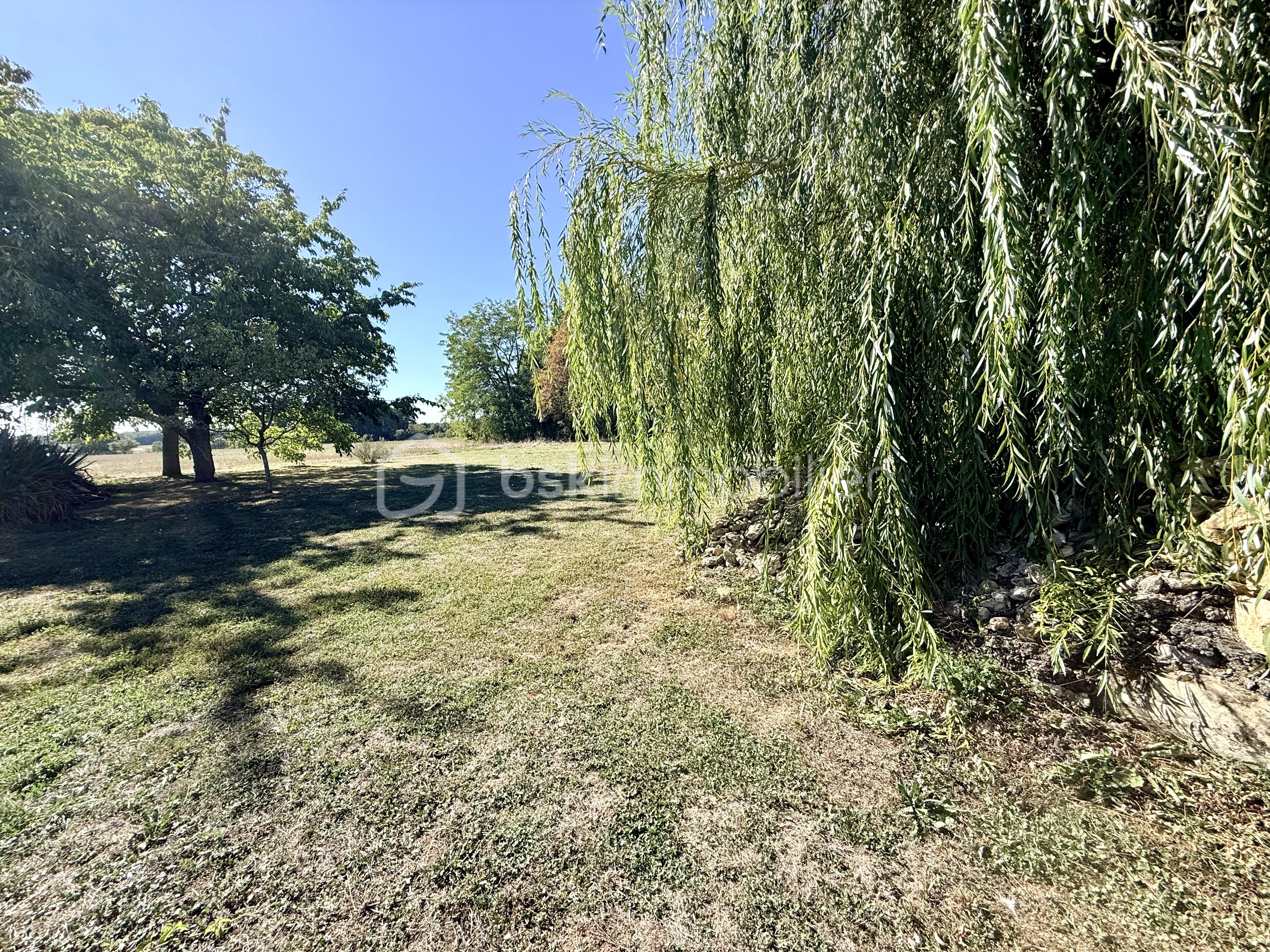 IMG_0858.jpeg