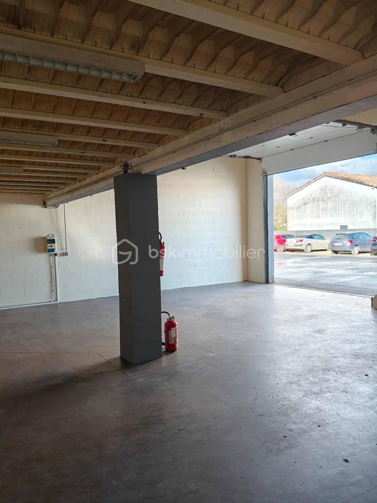 WhatsApp Image 2026-03-01 at 04.59.20.jpeg