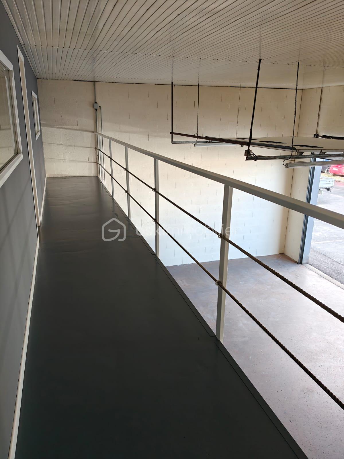 WhatsApp Image 2026-03-01 at 05.00.05.jpeg