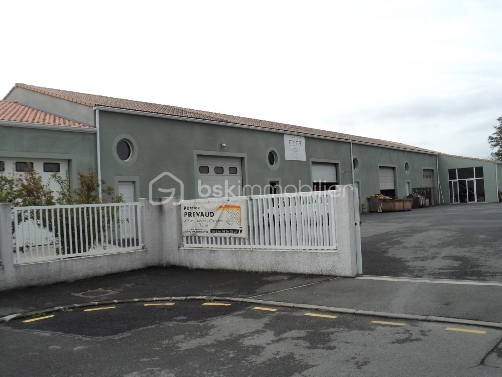 WhatsApp Image 2026-03-01 at 05.01.46.jpeg