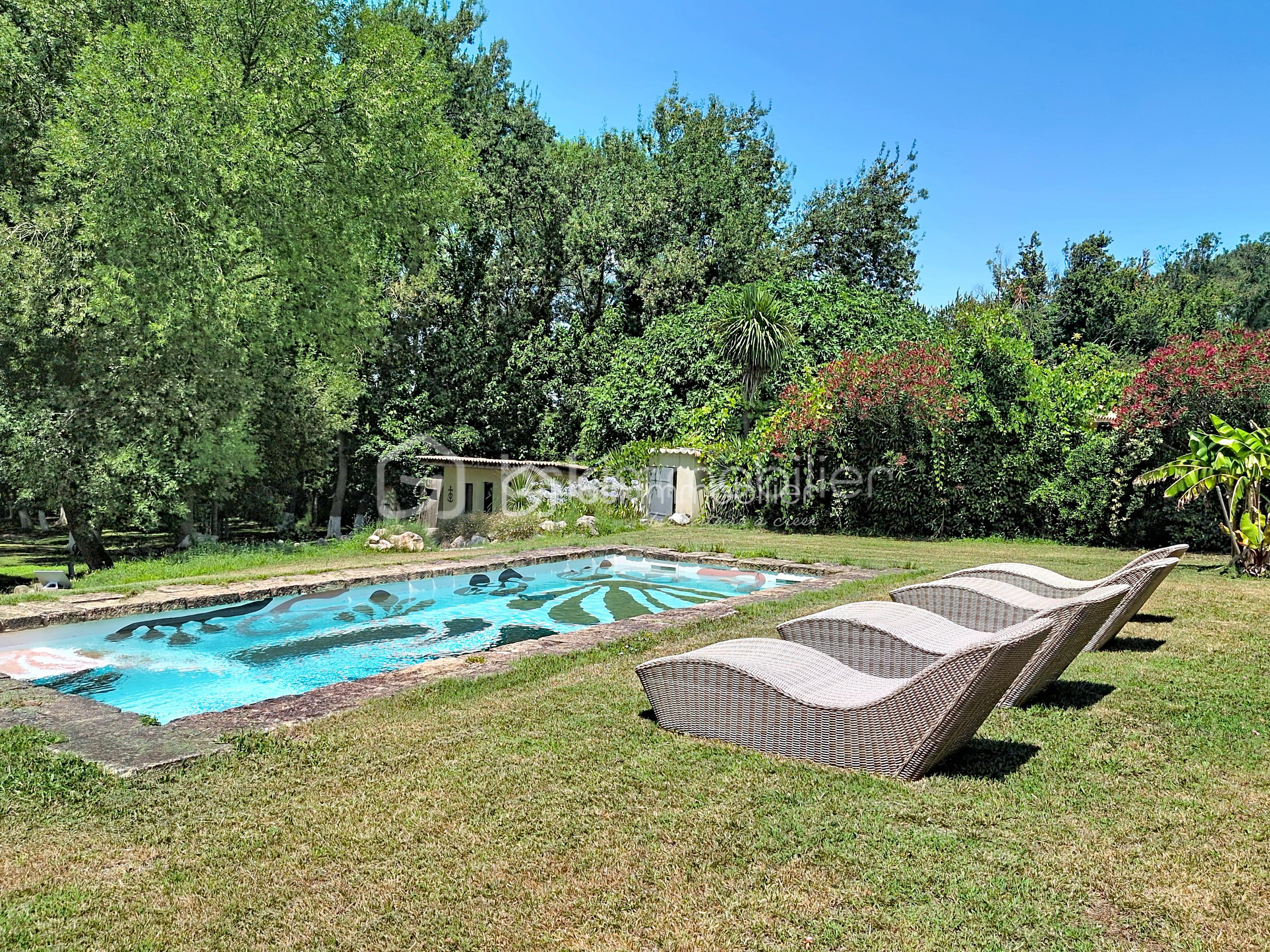 piscine juin 26.jpg
