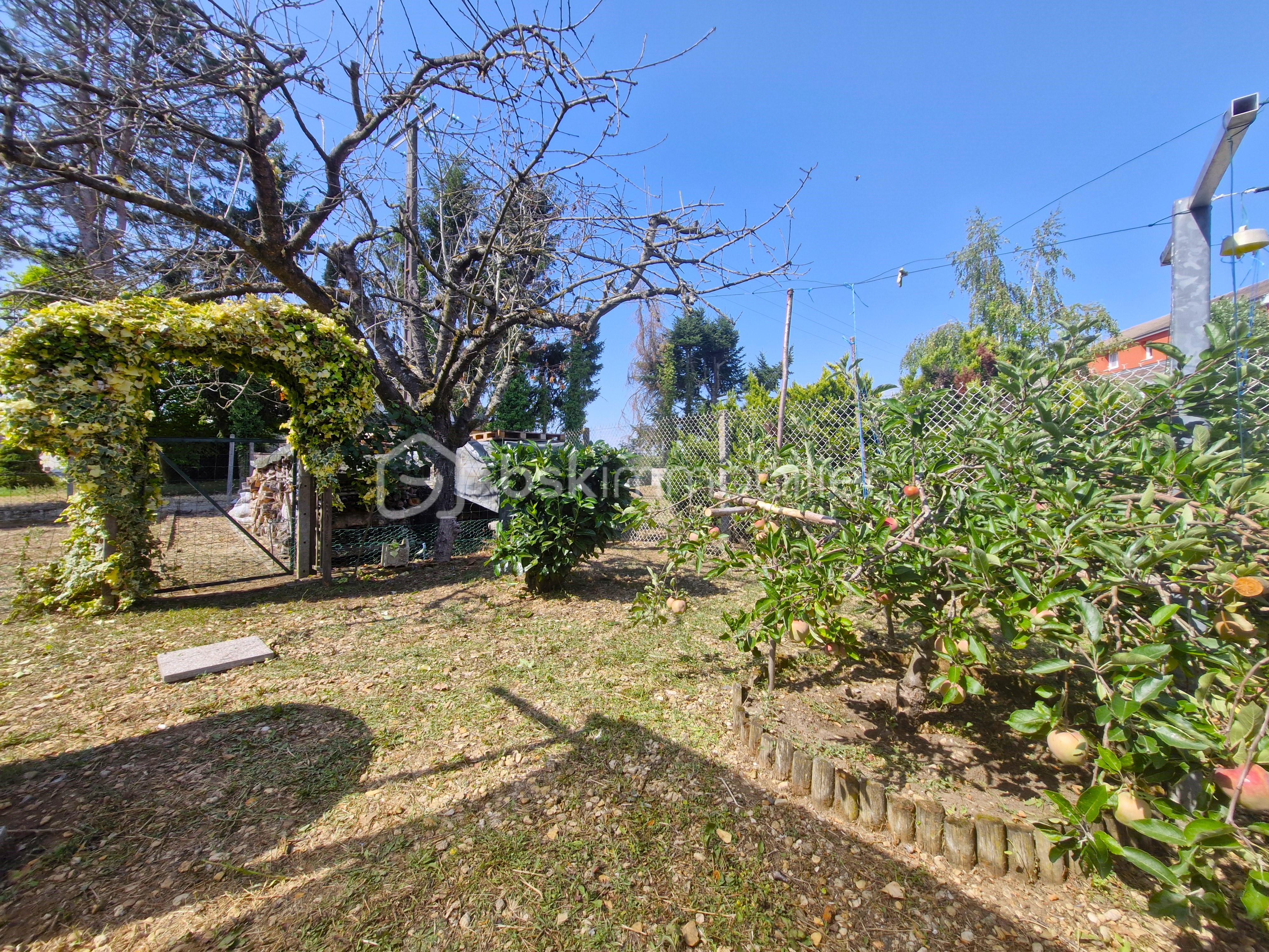 jardin2.jpg