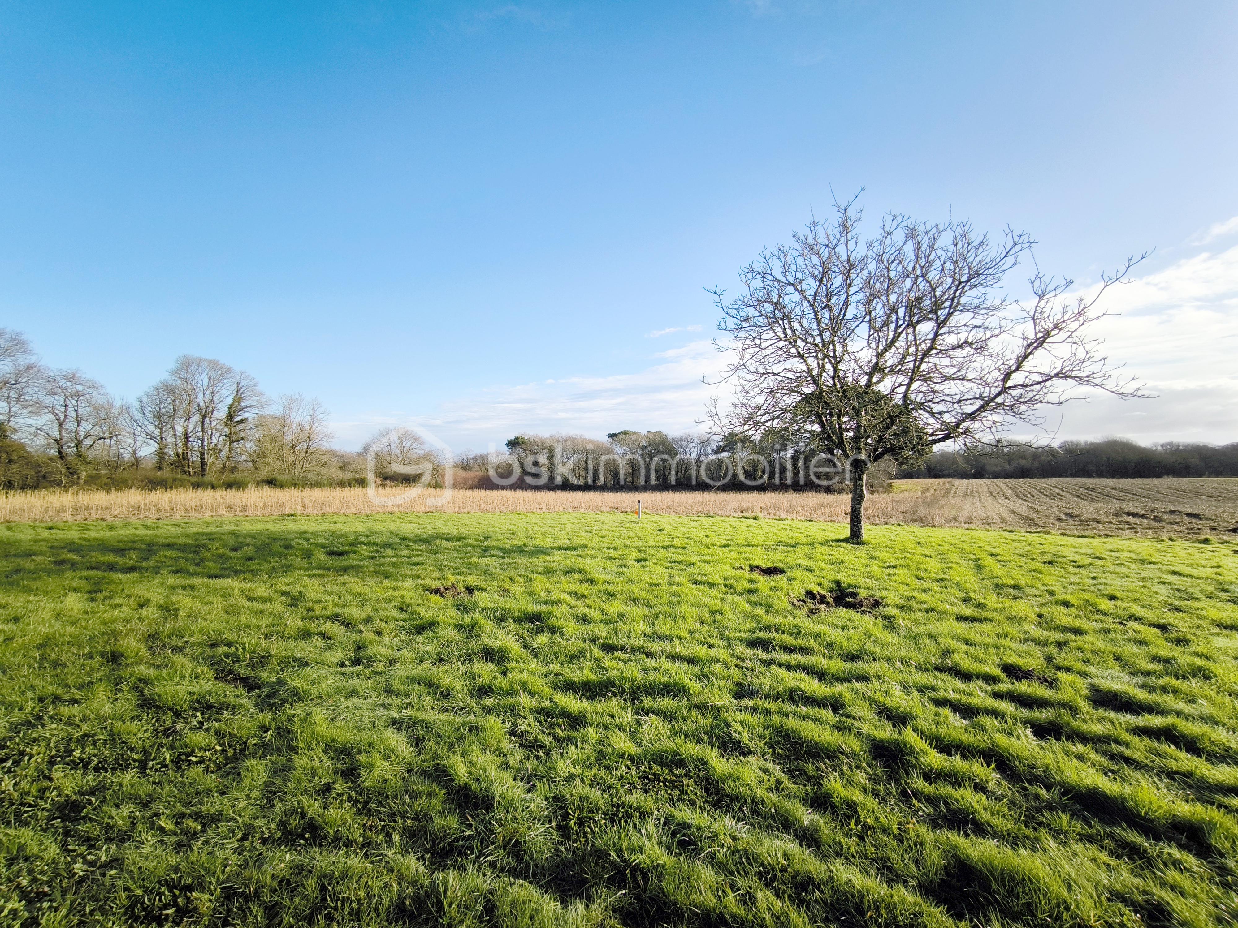 Maison de 98 m² - 1739280655828.jpg