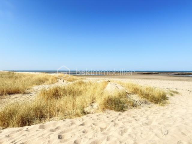 plage coulon 2.jpg